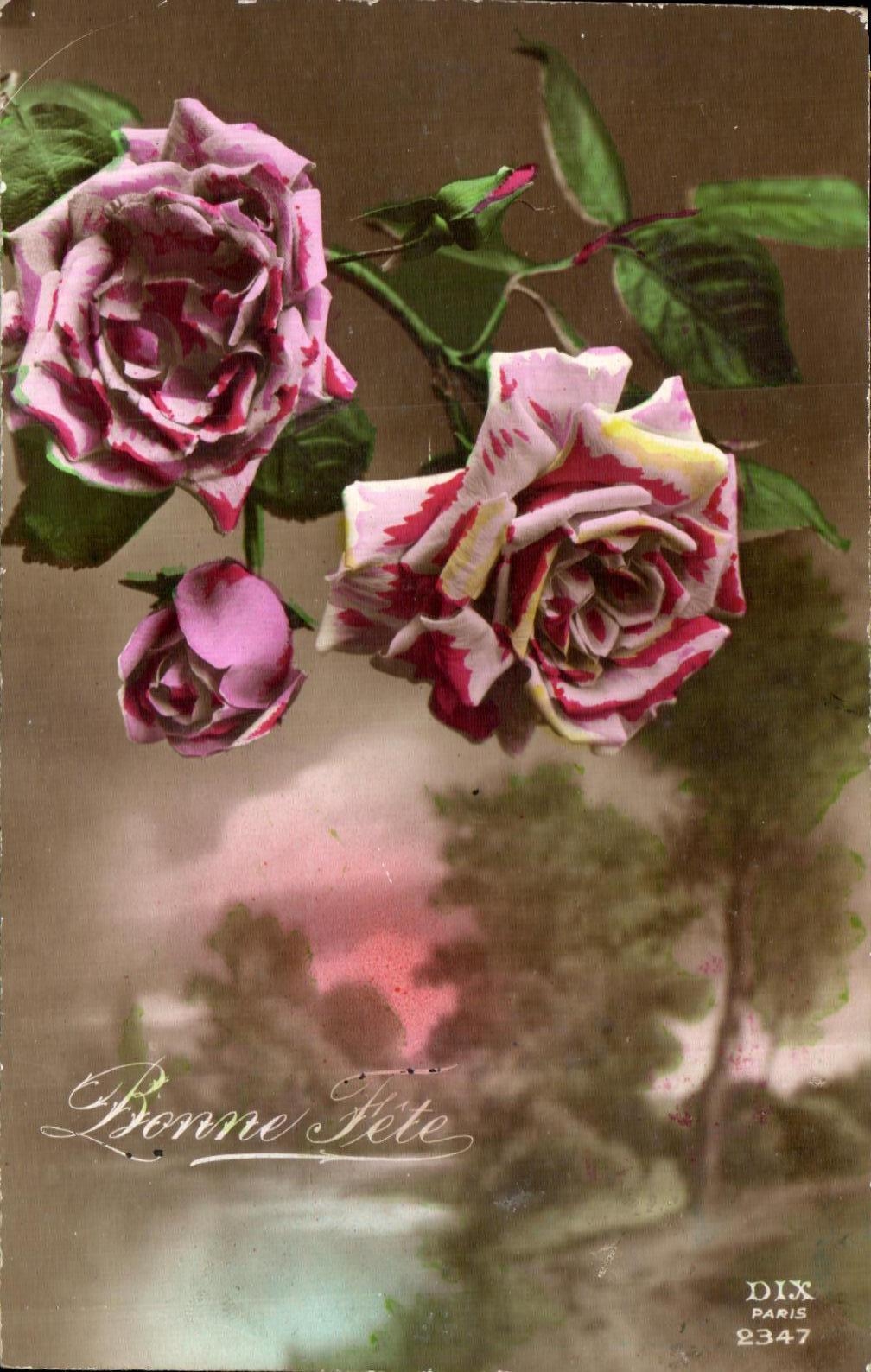 La fantasia de CPA florece rosas