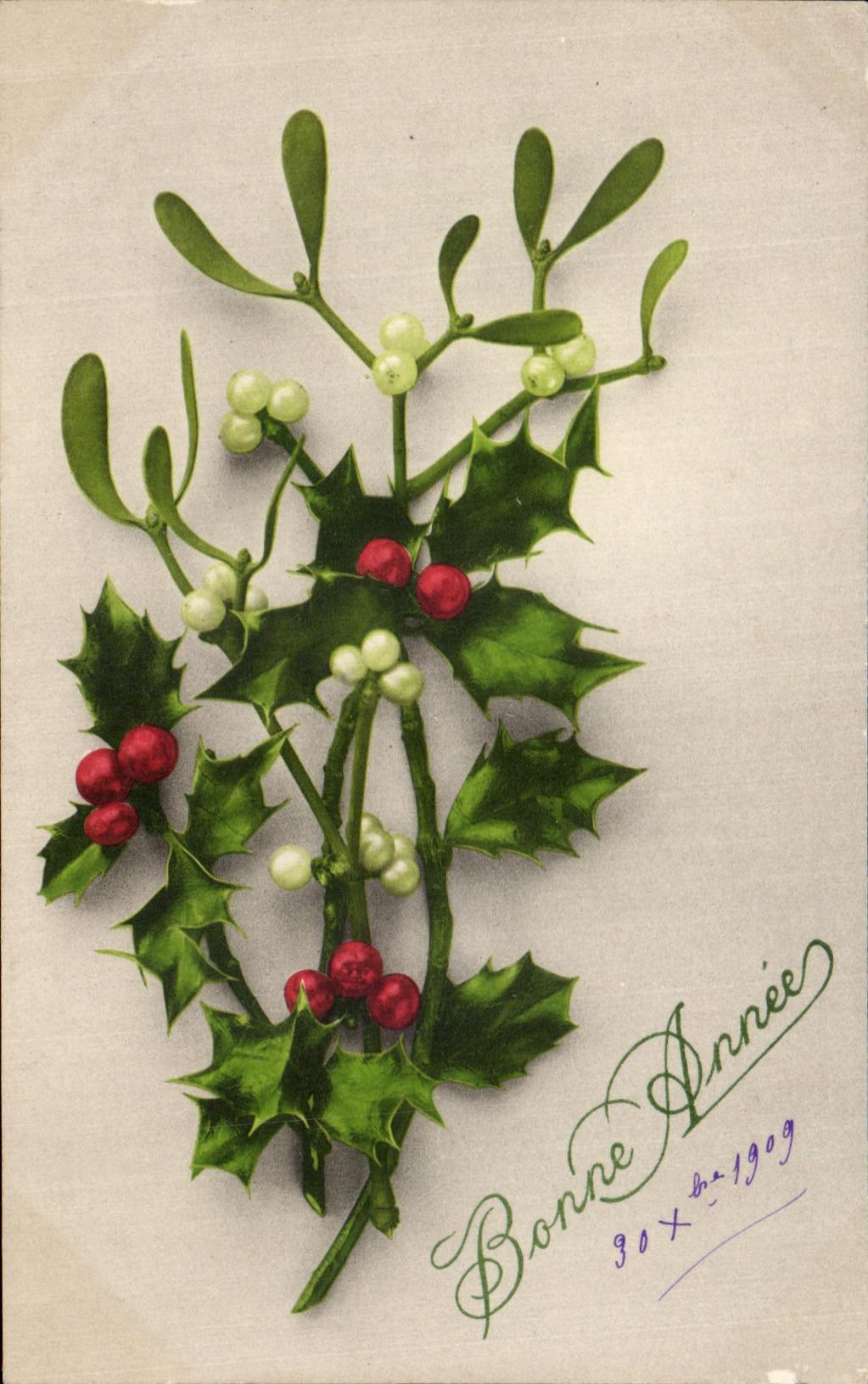 Flores de la fantasia de CPA