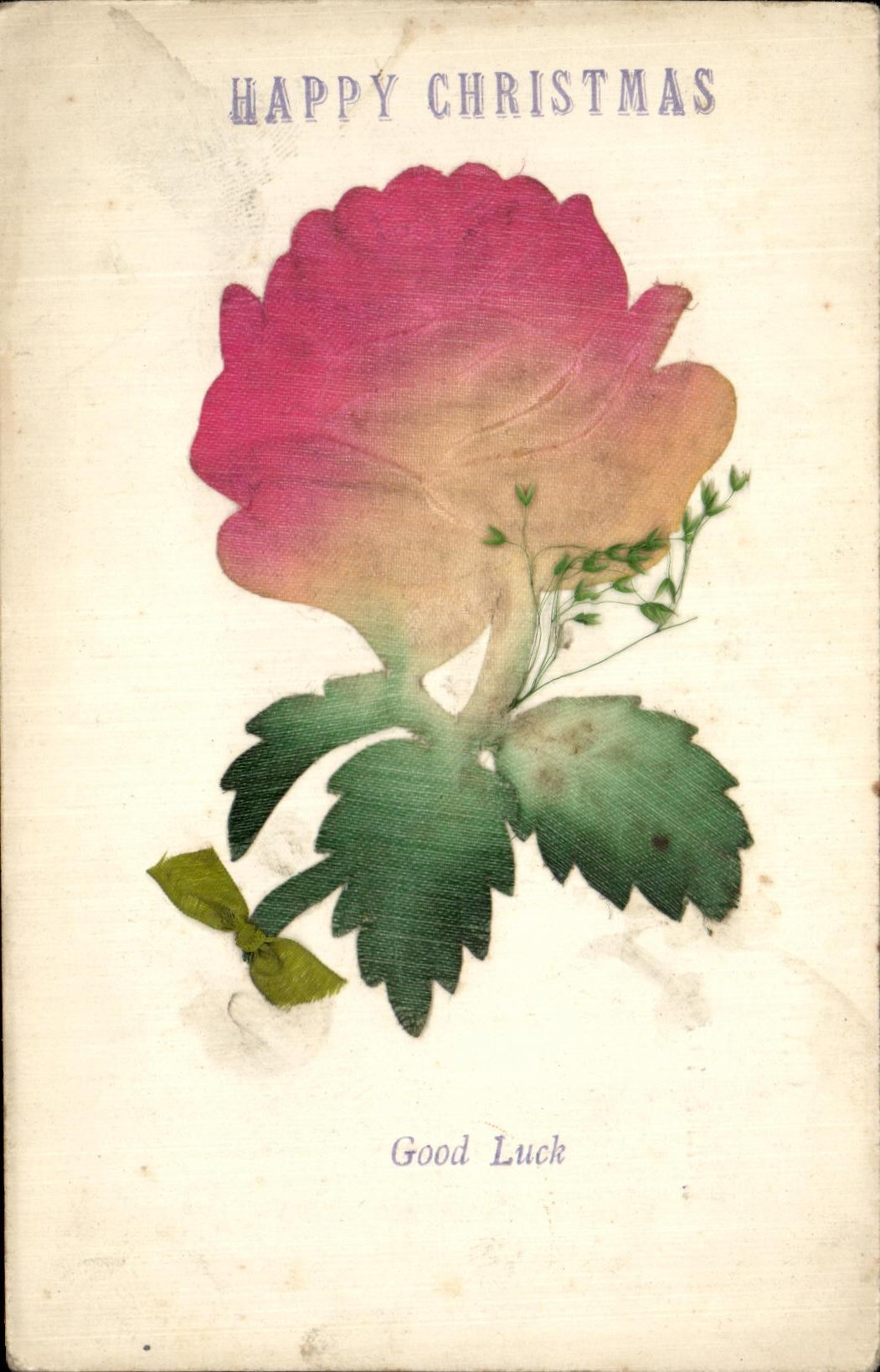 Flores de la Navidad de la fantasia de CPA