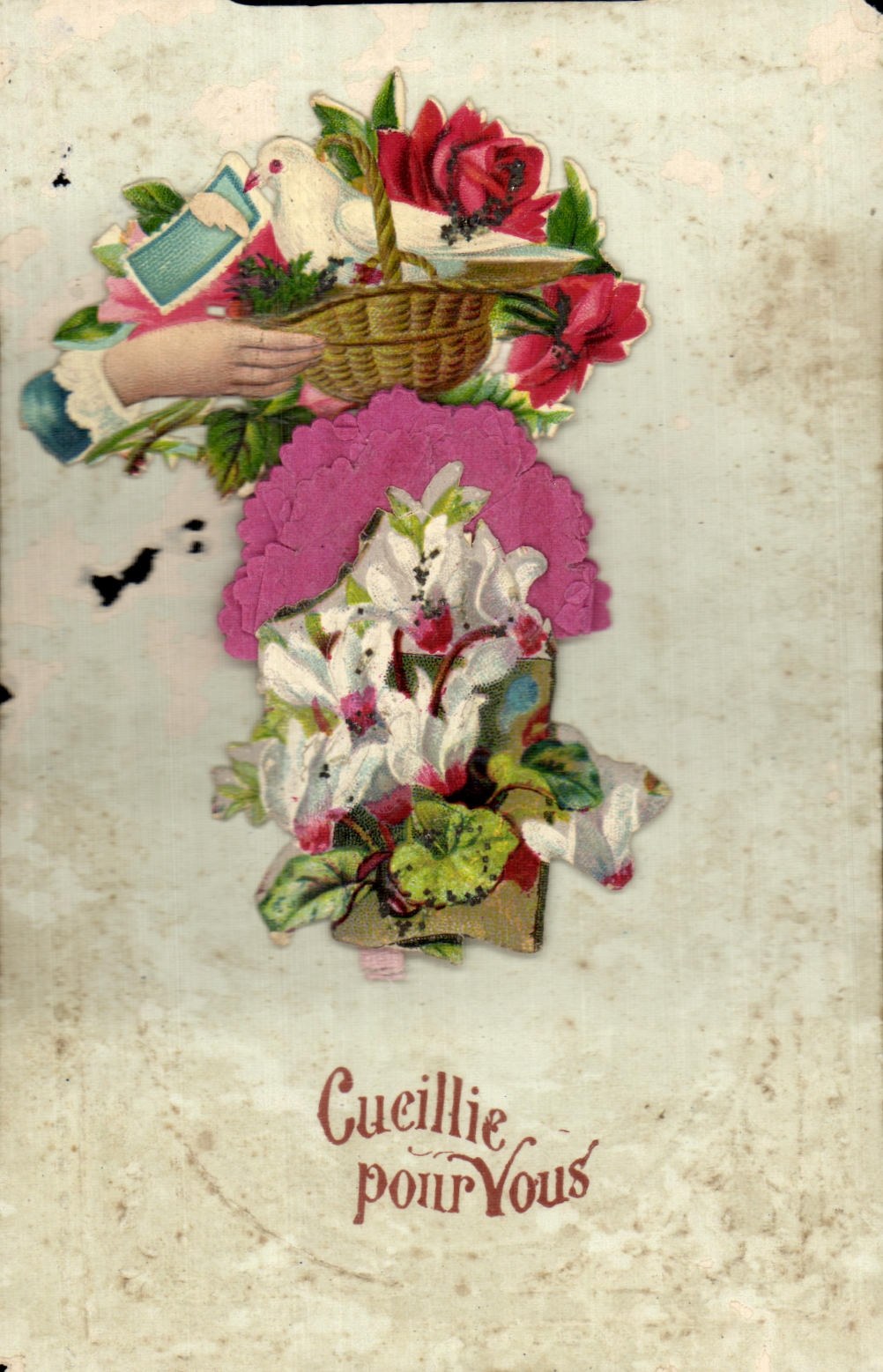 Flores de la fantasia de CPA