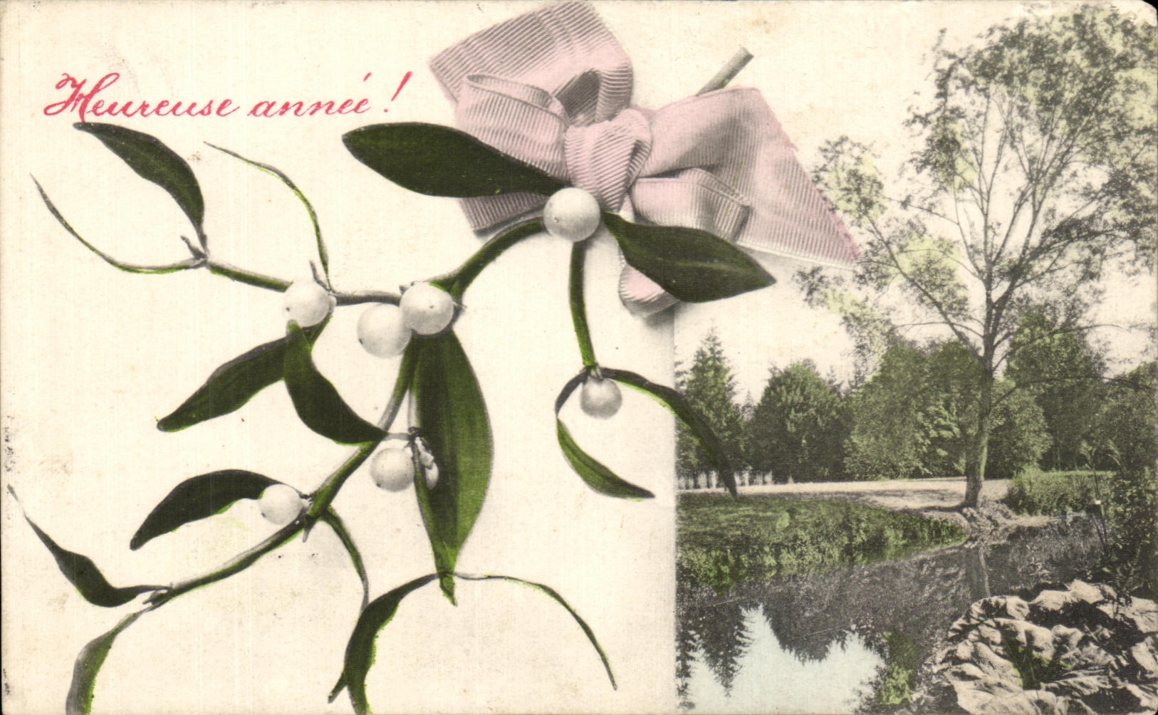 Flores de la imaginacion de CPA