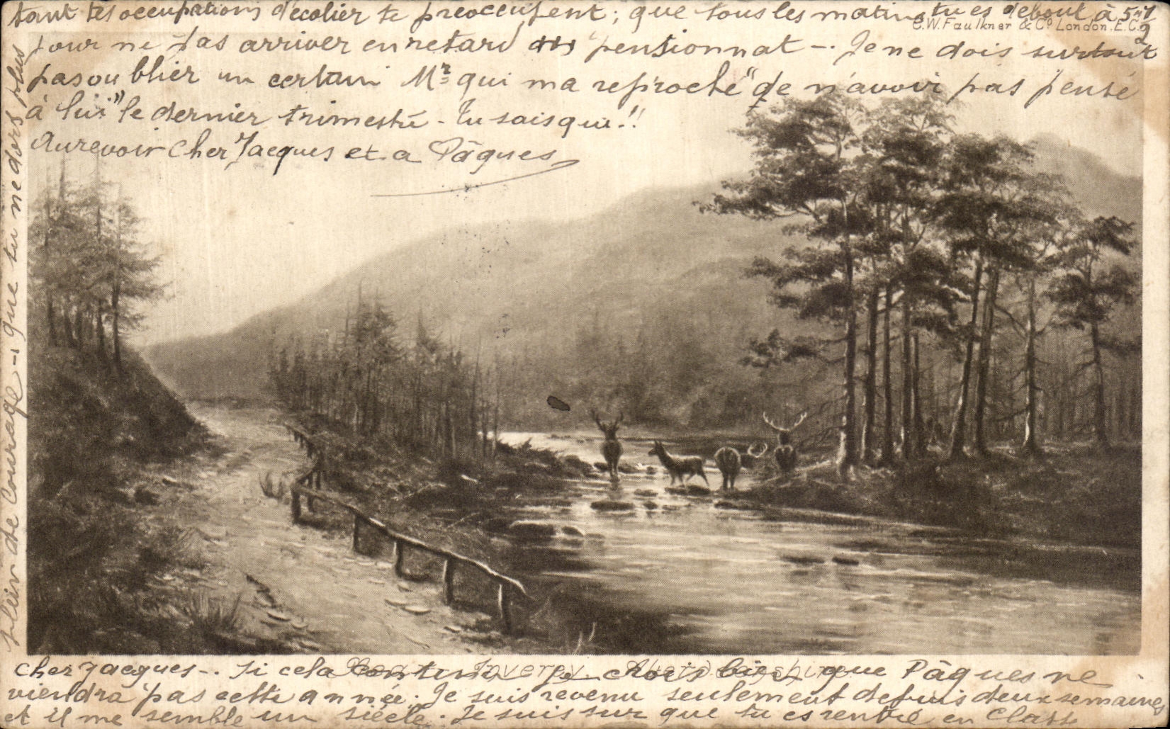 CPA Biches au seuil d'une foret 