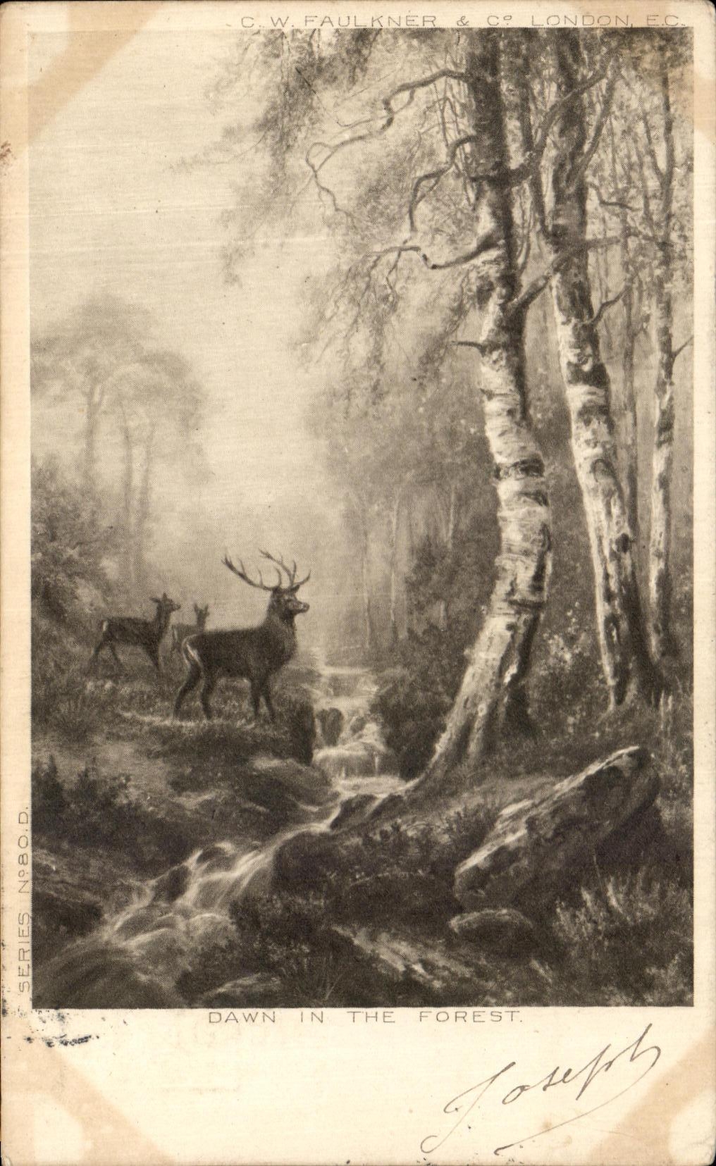 CPA Dawn In The Forest London Biche 