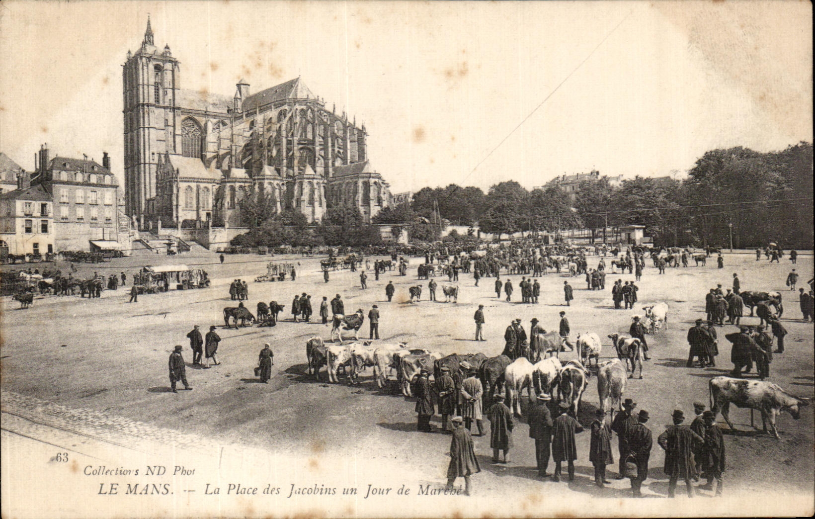 CPA Mans the Place of Jacabins one Day of market Cows Oxen