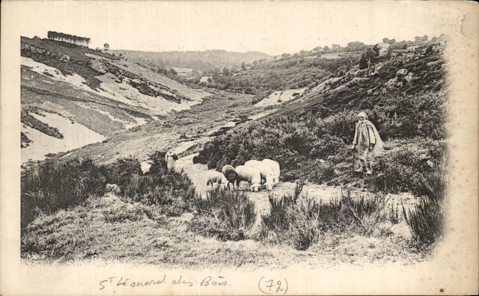 CPA St Leonard of Wood Saint Leonard Shepherd and sheep