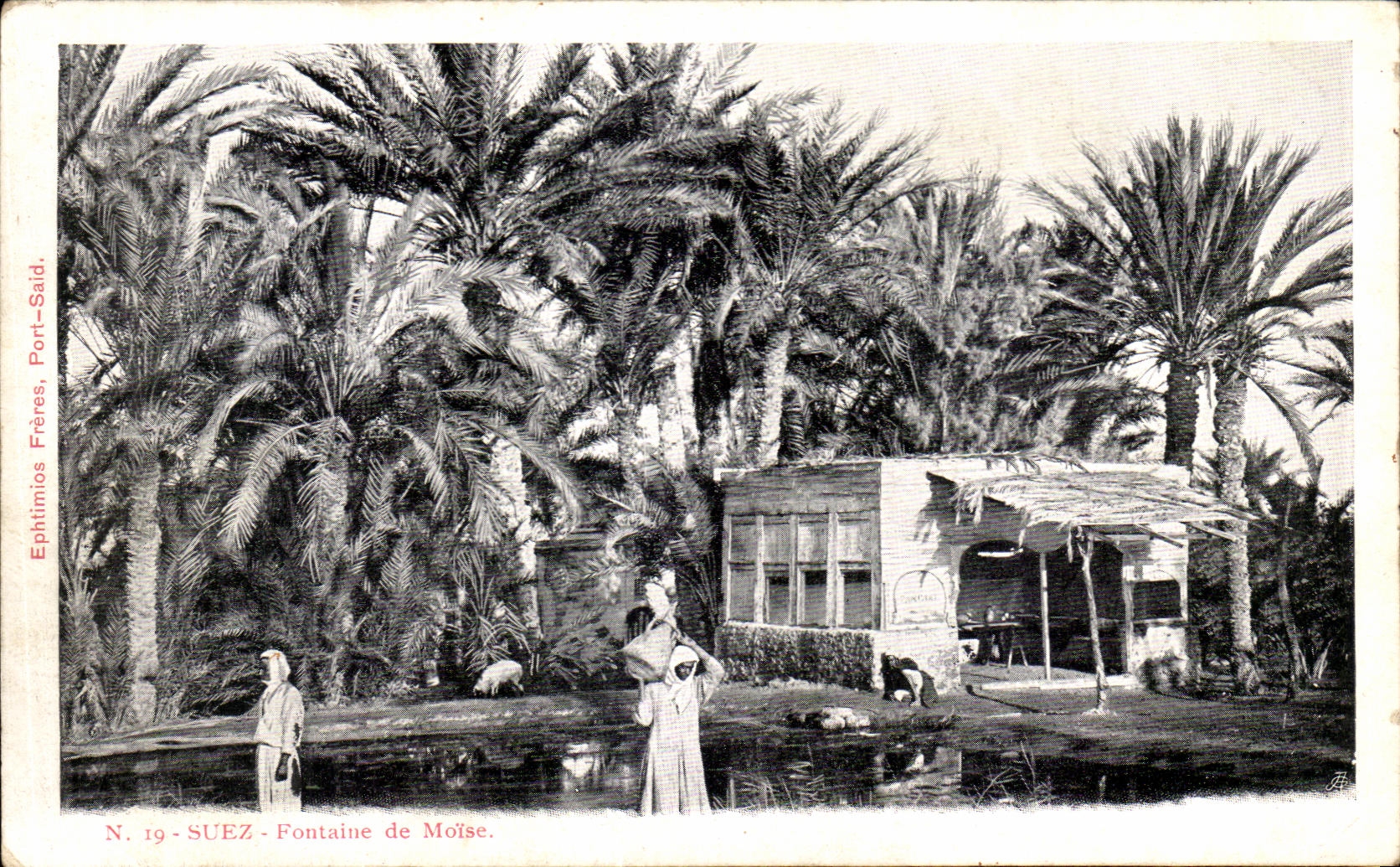 CPA Suez Fontaine De Moise Egypte