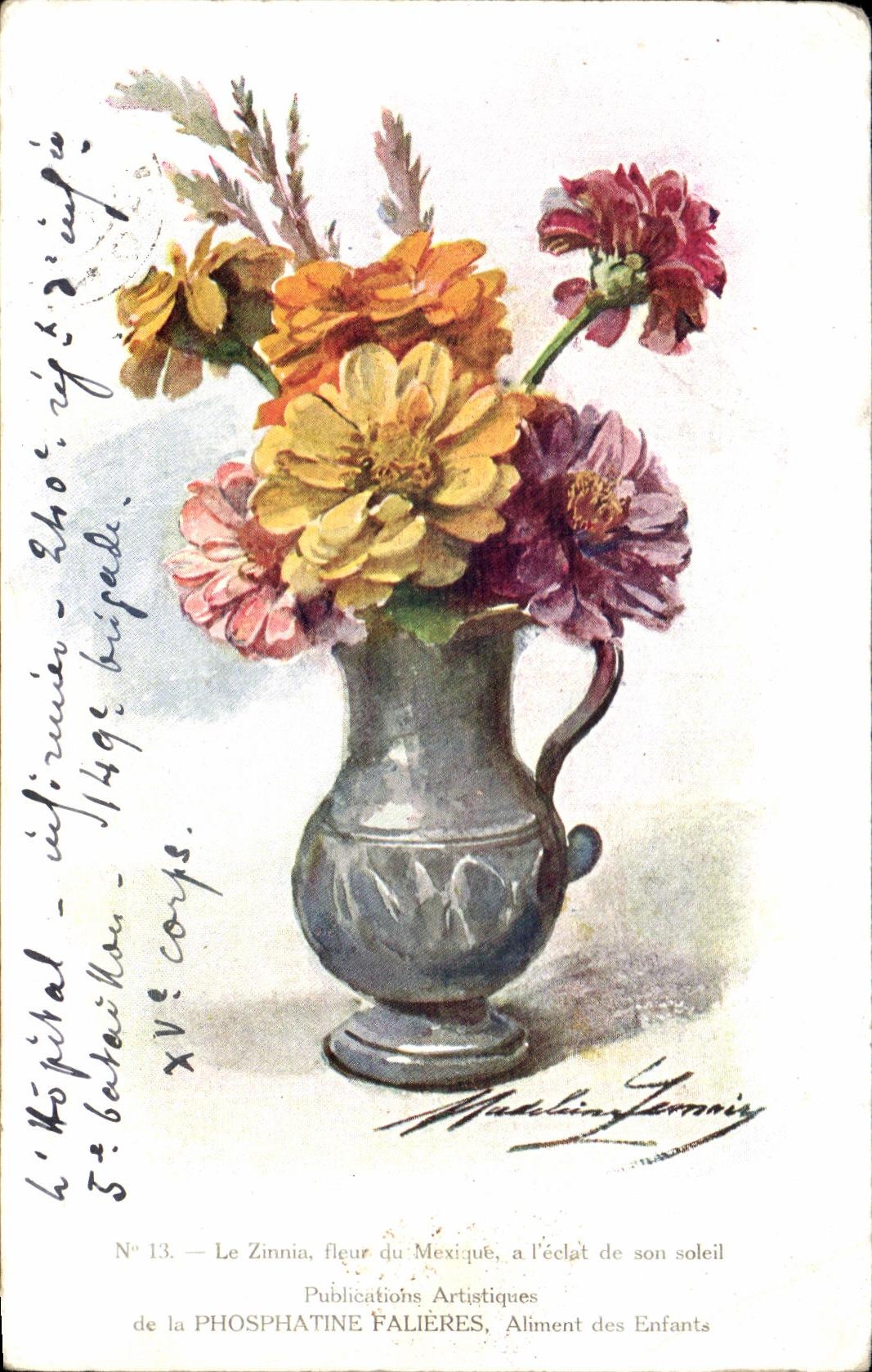 CPA Fantaisie Fleurs le Zinnia fleur du Mexique 