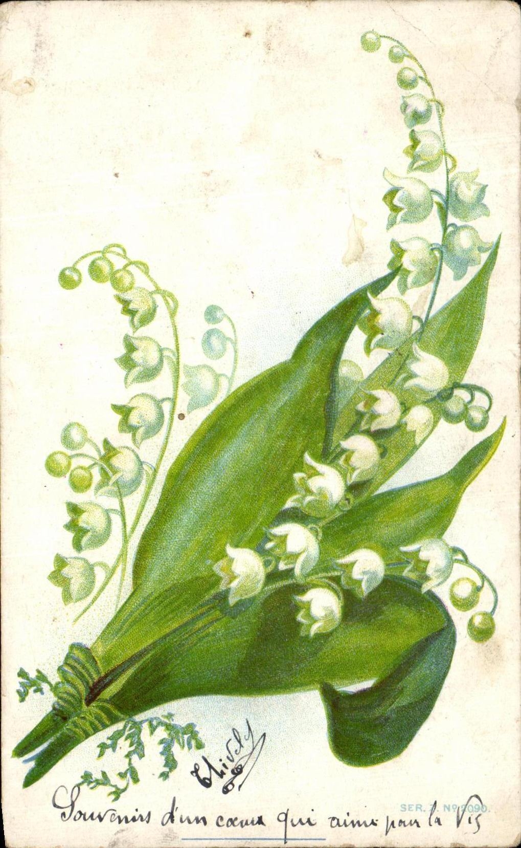 La fantasia de CPA florece el lirio de los valles