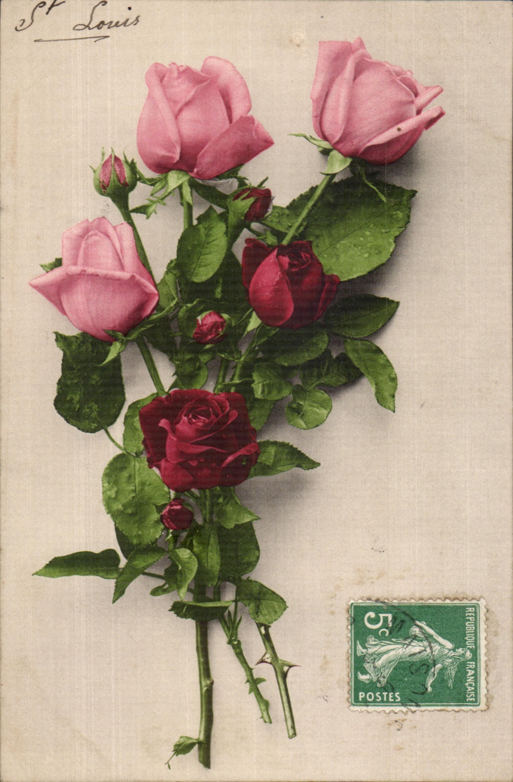 La fantasia de CPA florece rosas