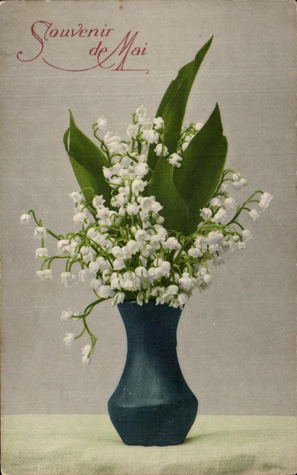 La fantasia de CPA florece el recuerdo de mayo