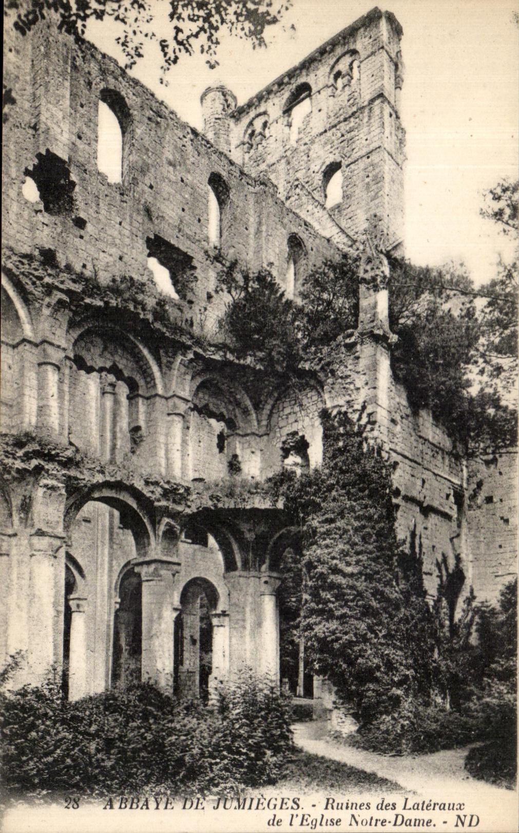 CPA Abbey of Jumieges Ruins of Side of the Notre Dame Church