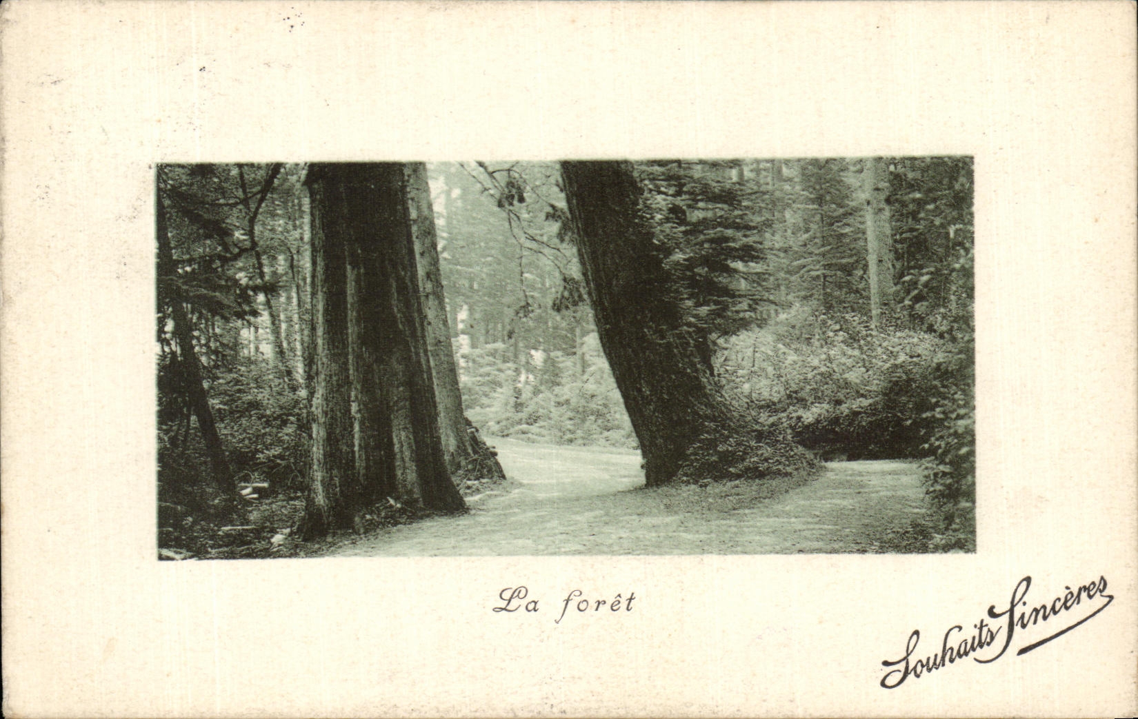 Fantasia de CPA el taladro