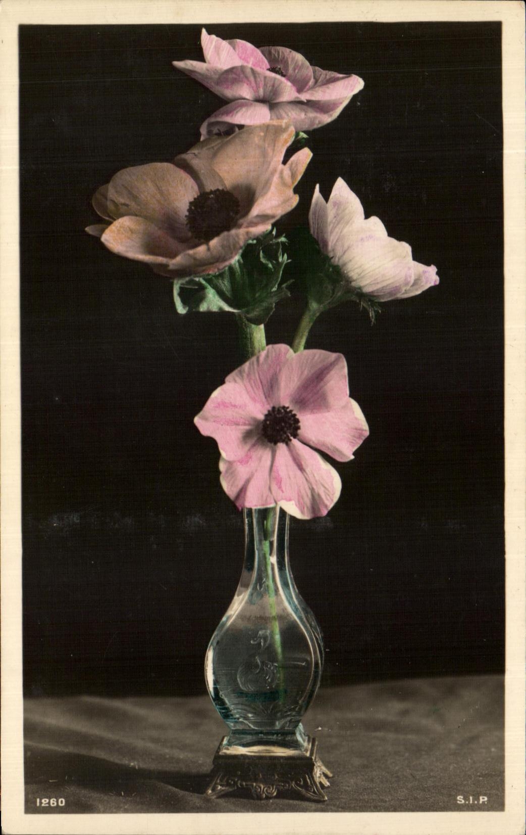 Flores de la fantasia de CPA