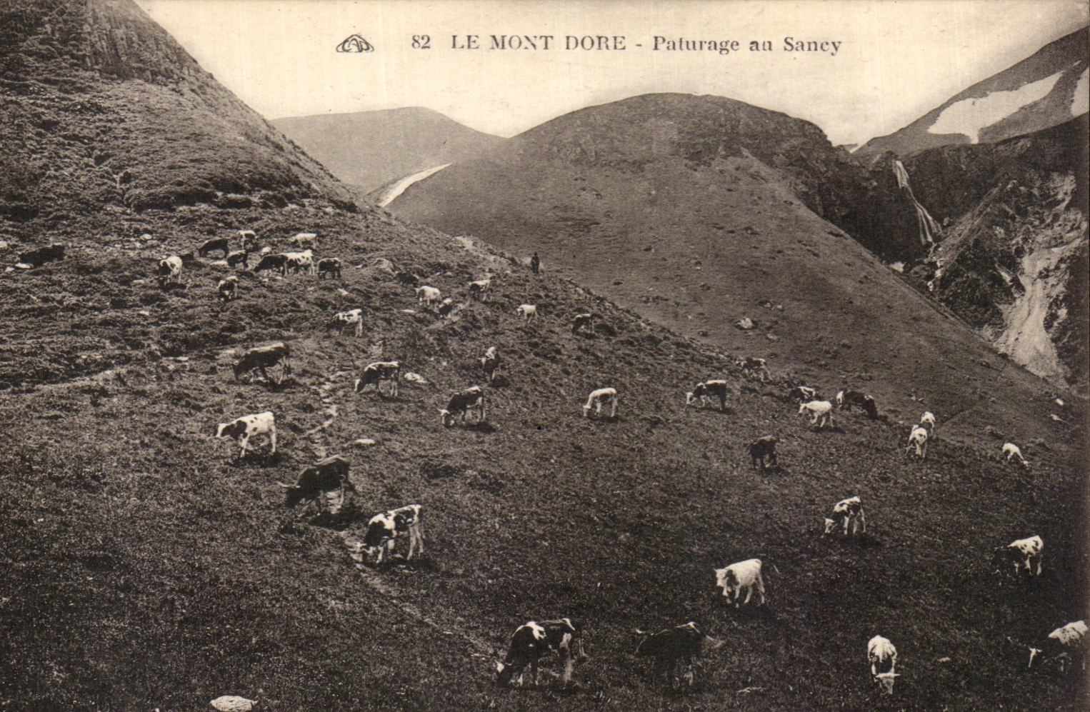 CPA the Mount Gilds Pasture Sancy Vaches