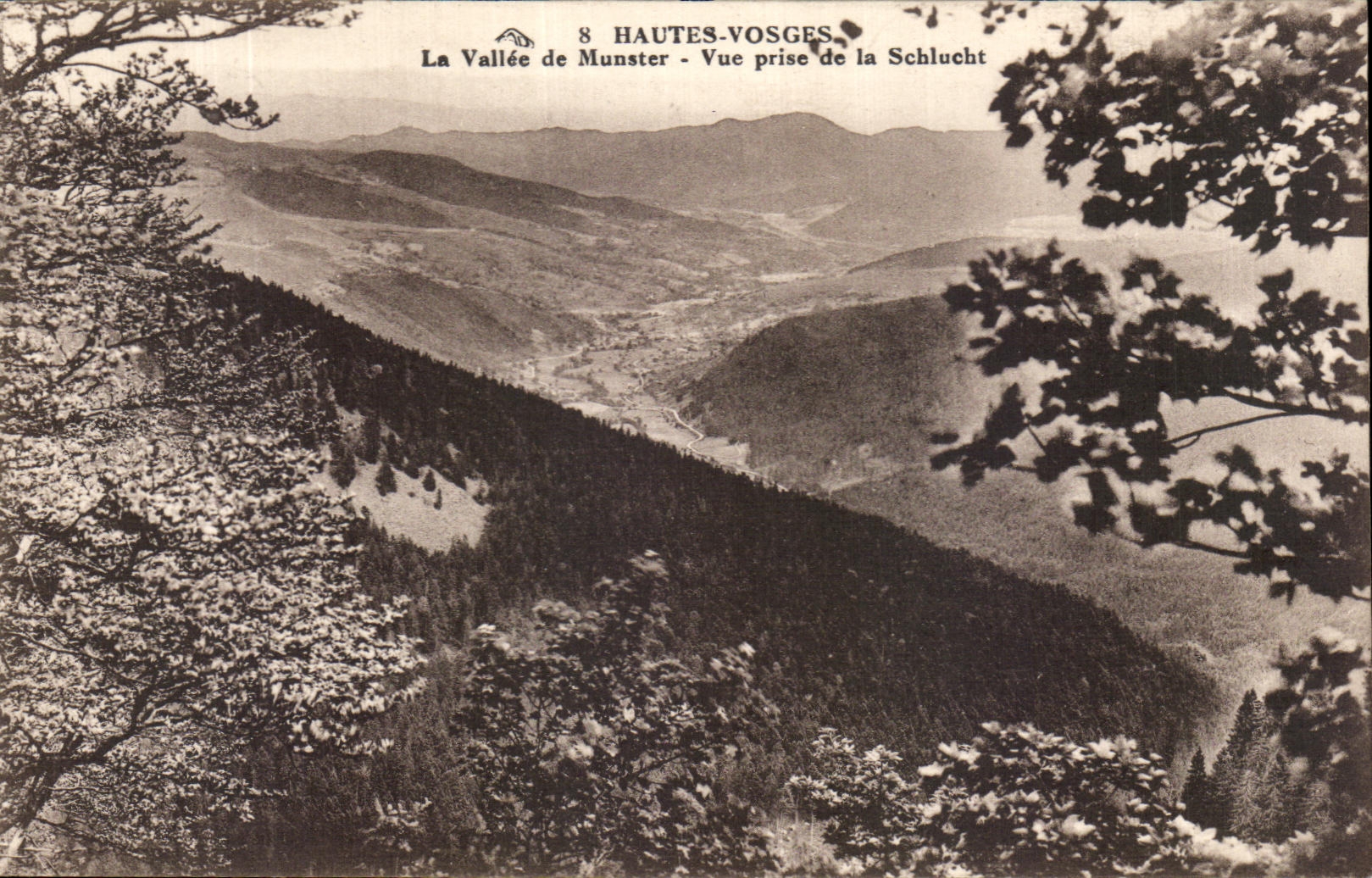 CPA the High Vosges the Valley De Munster Seen from Of Schlucht