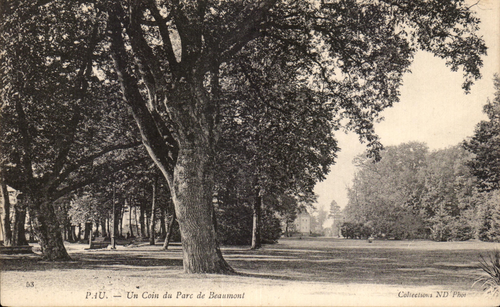CPA Pau Un Coin du Parc de Beaumont
