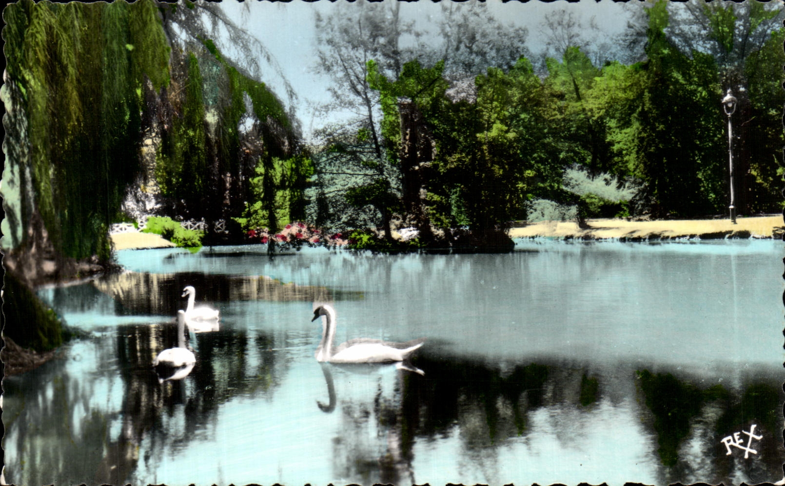 CPA Pau Le Parc Beaumont Cygnes