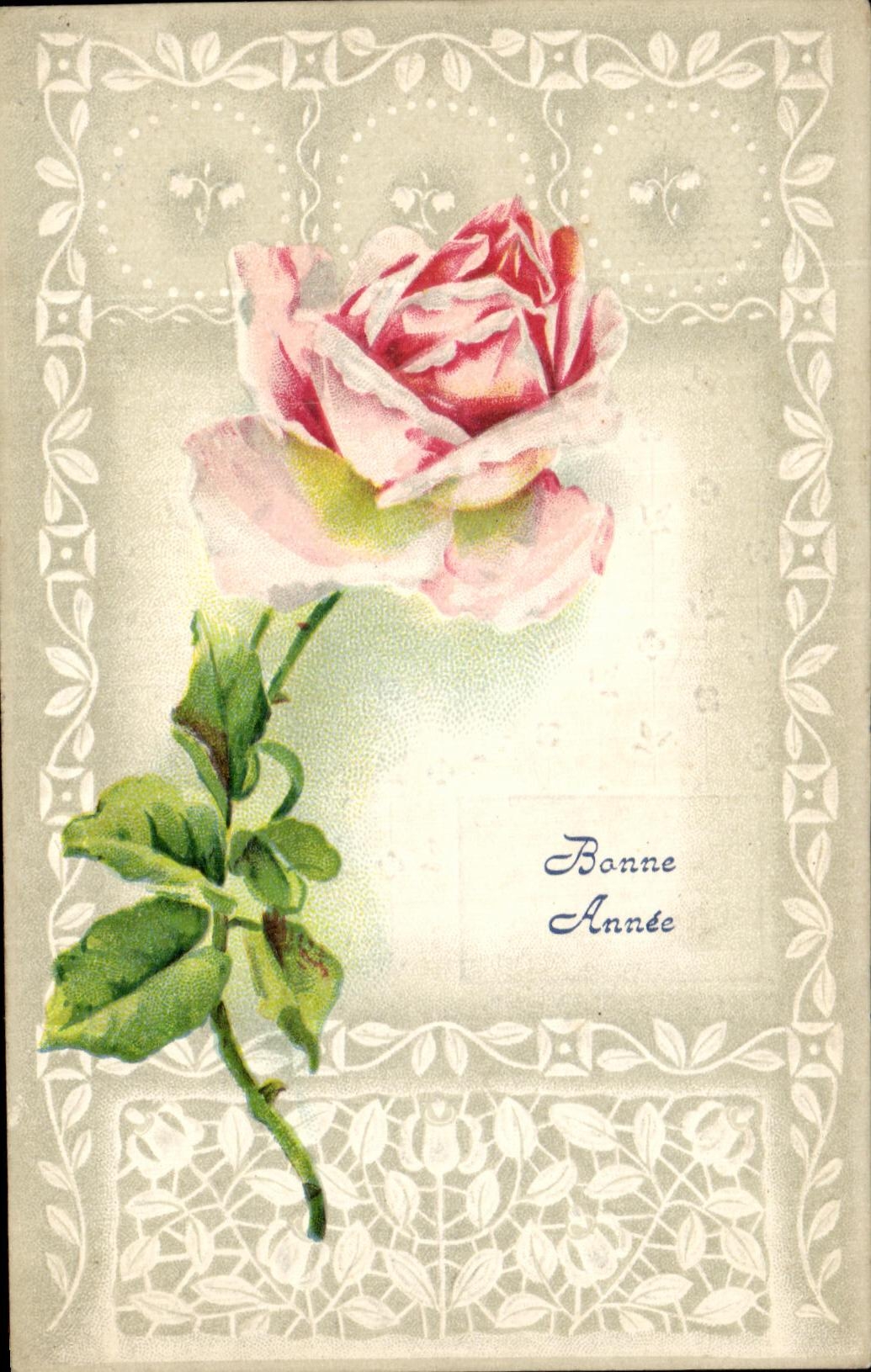 Flores del color de rosa de la fantasia de CPA