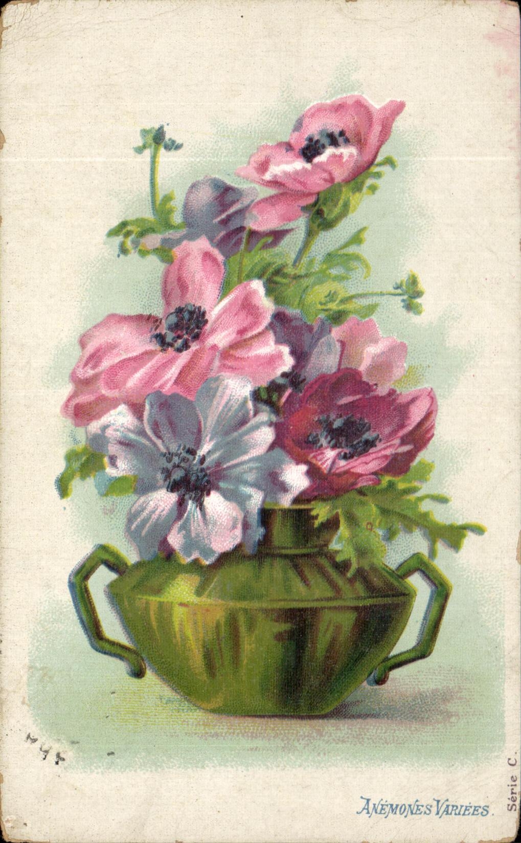 La fantasia de CPA florece variees de las anemonas