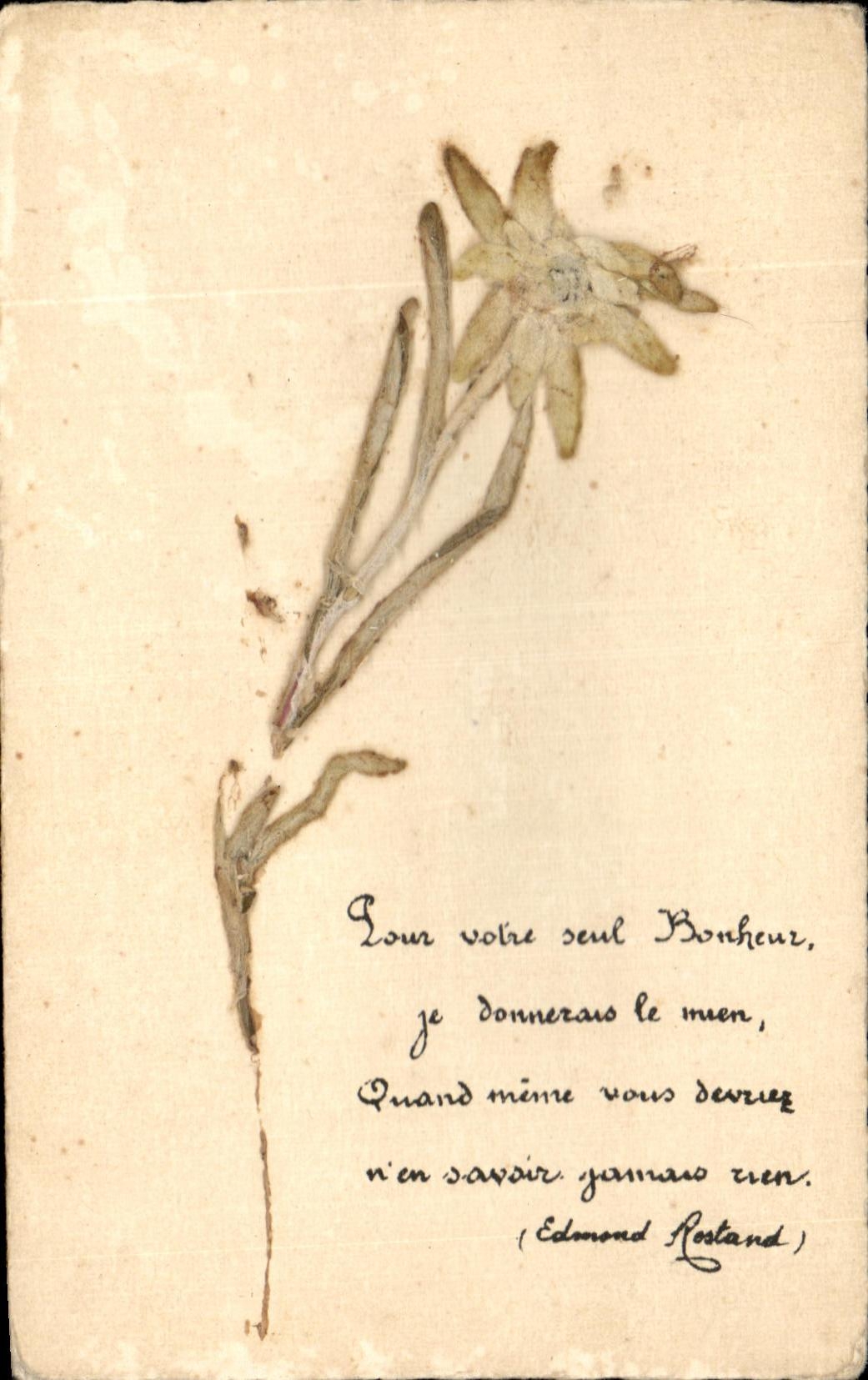 La fantasia de CPA florece sechees