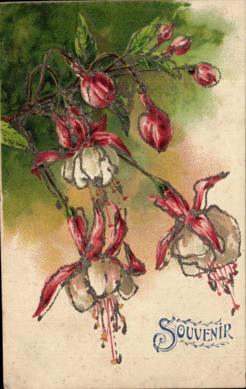 Flores de la fantasia de CPA