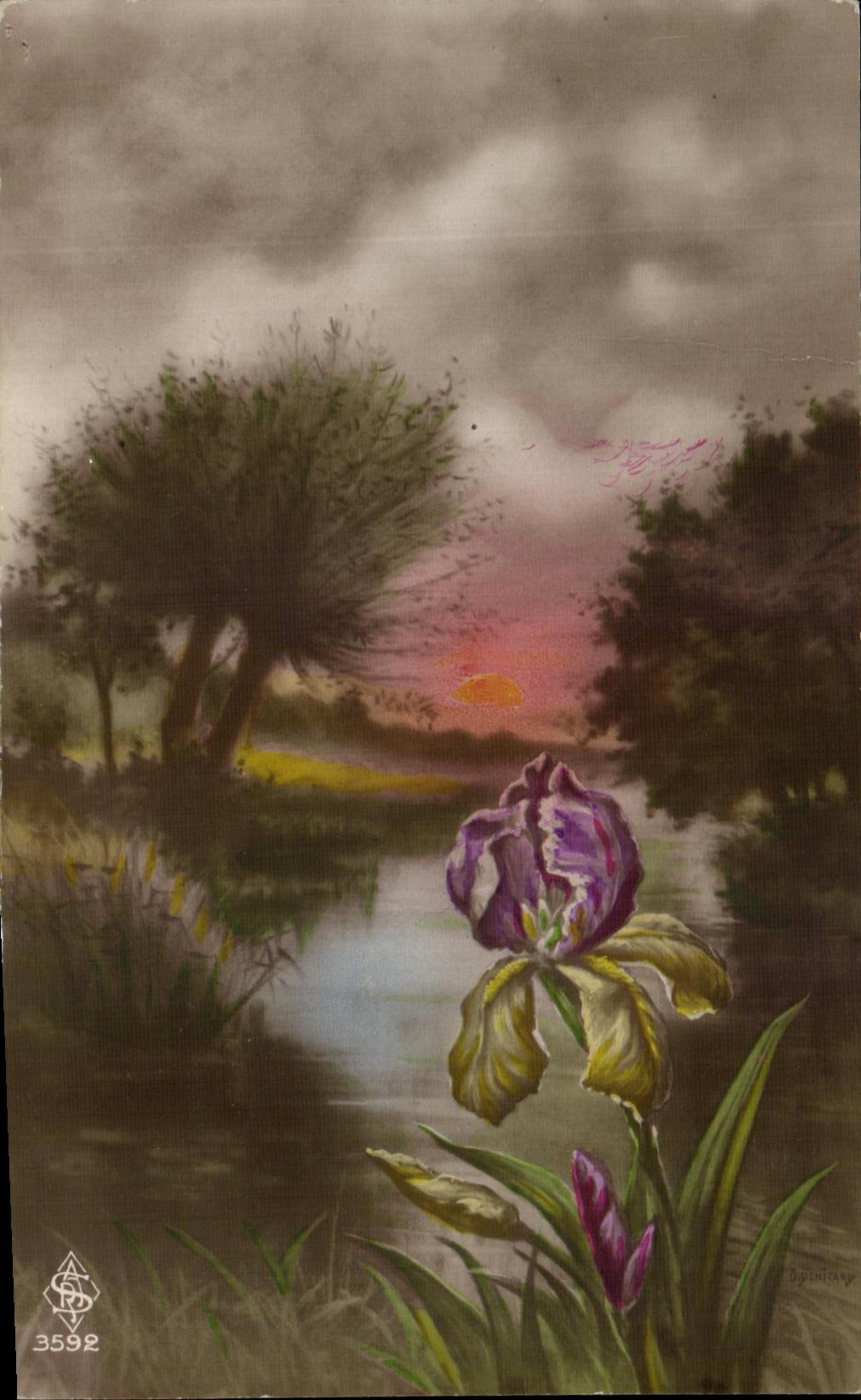 Flores de la fantasia de CPA