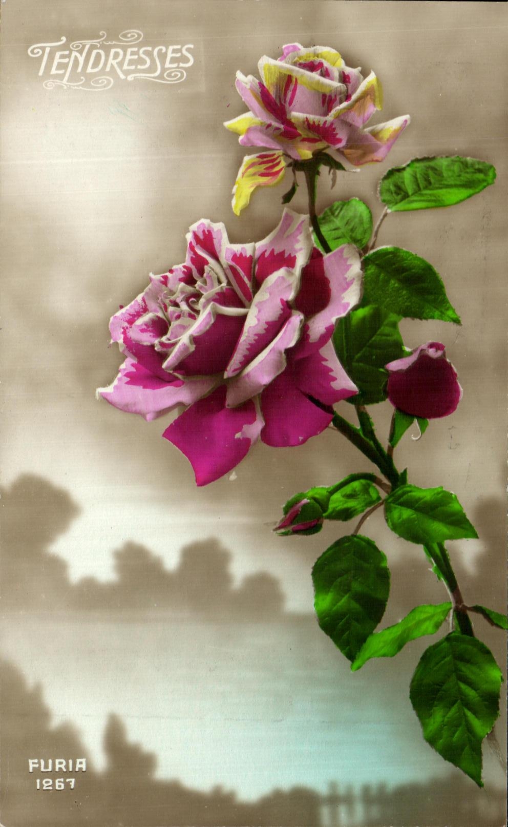 Flores de la fantasia de CPA