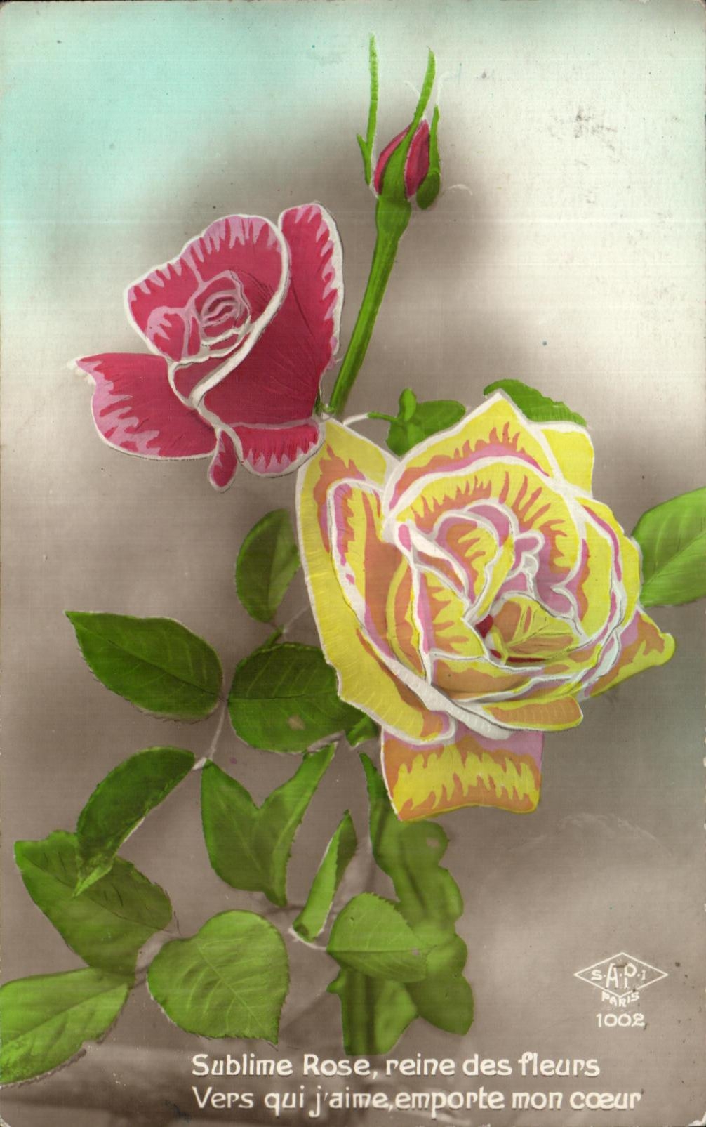 Flores de la fantasia de CPA