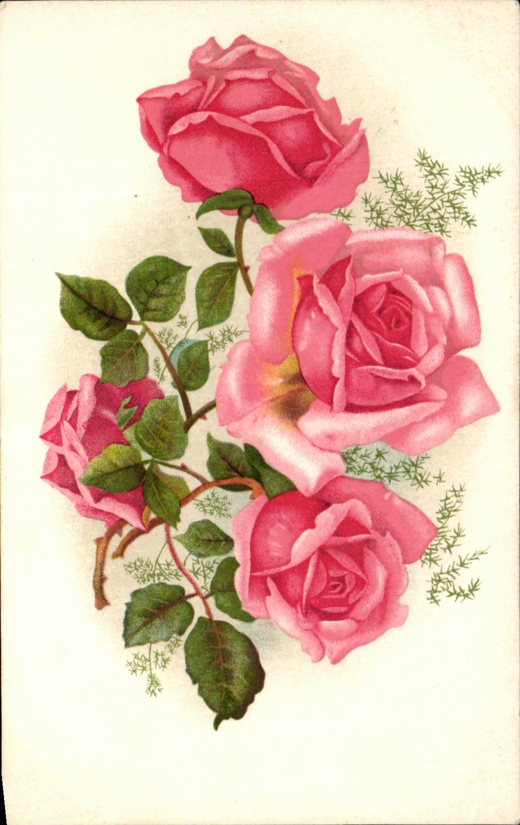 La fantasia de CPA florece rosas