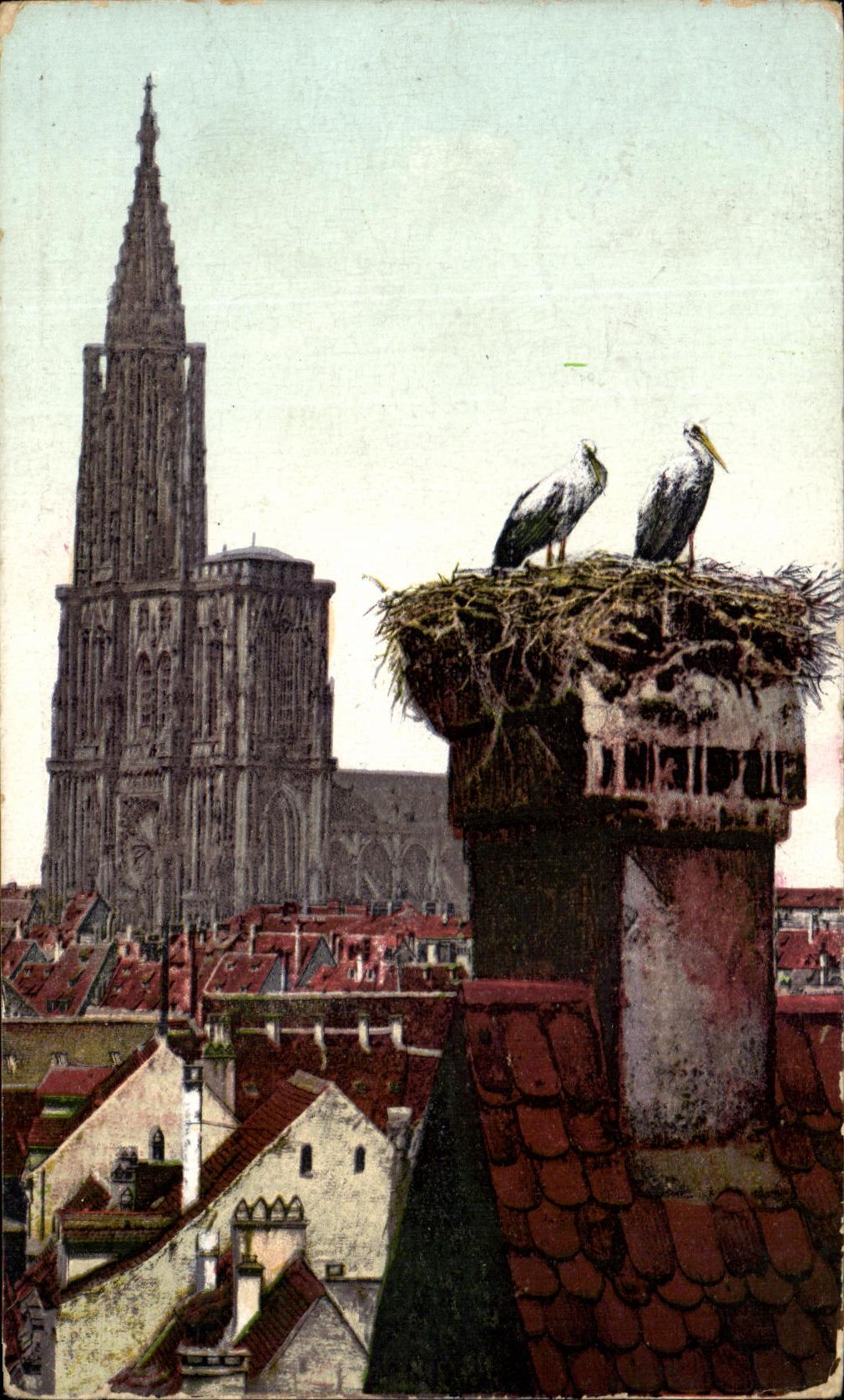 CPA Strasbourg Cathedral Storks