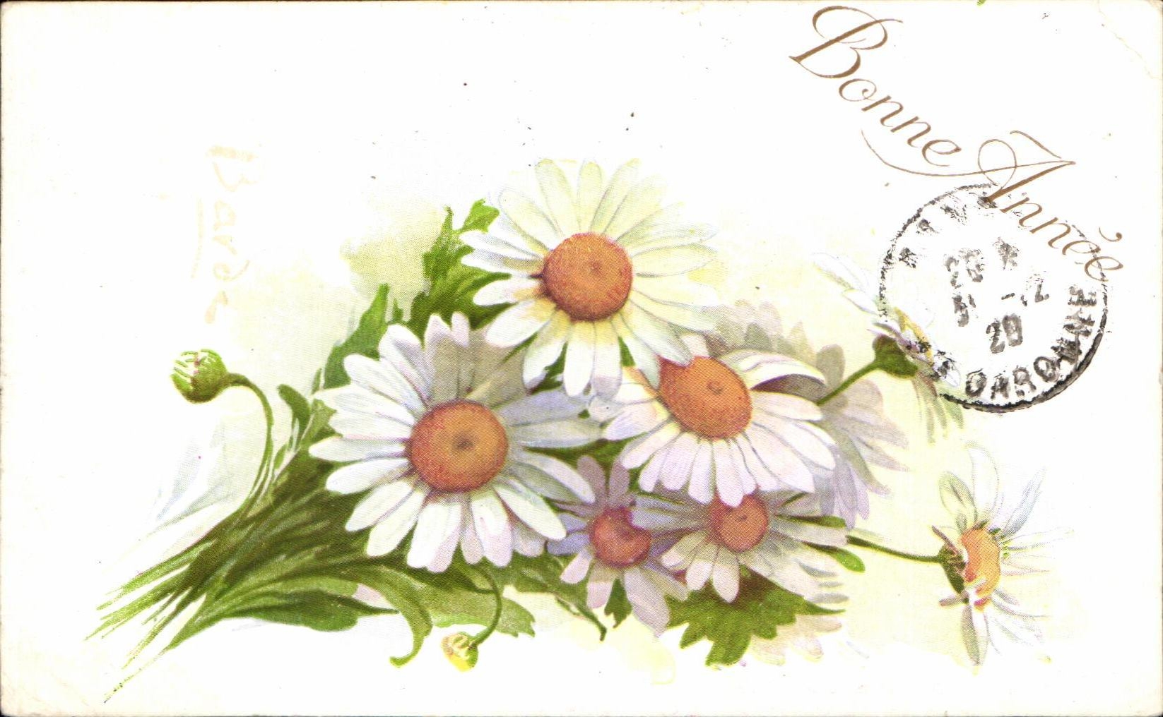 Flores de la fantasia de CPA