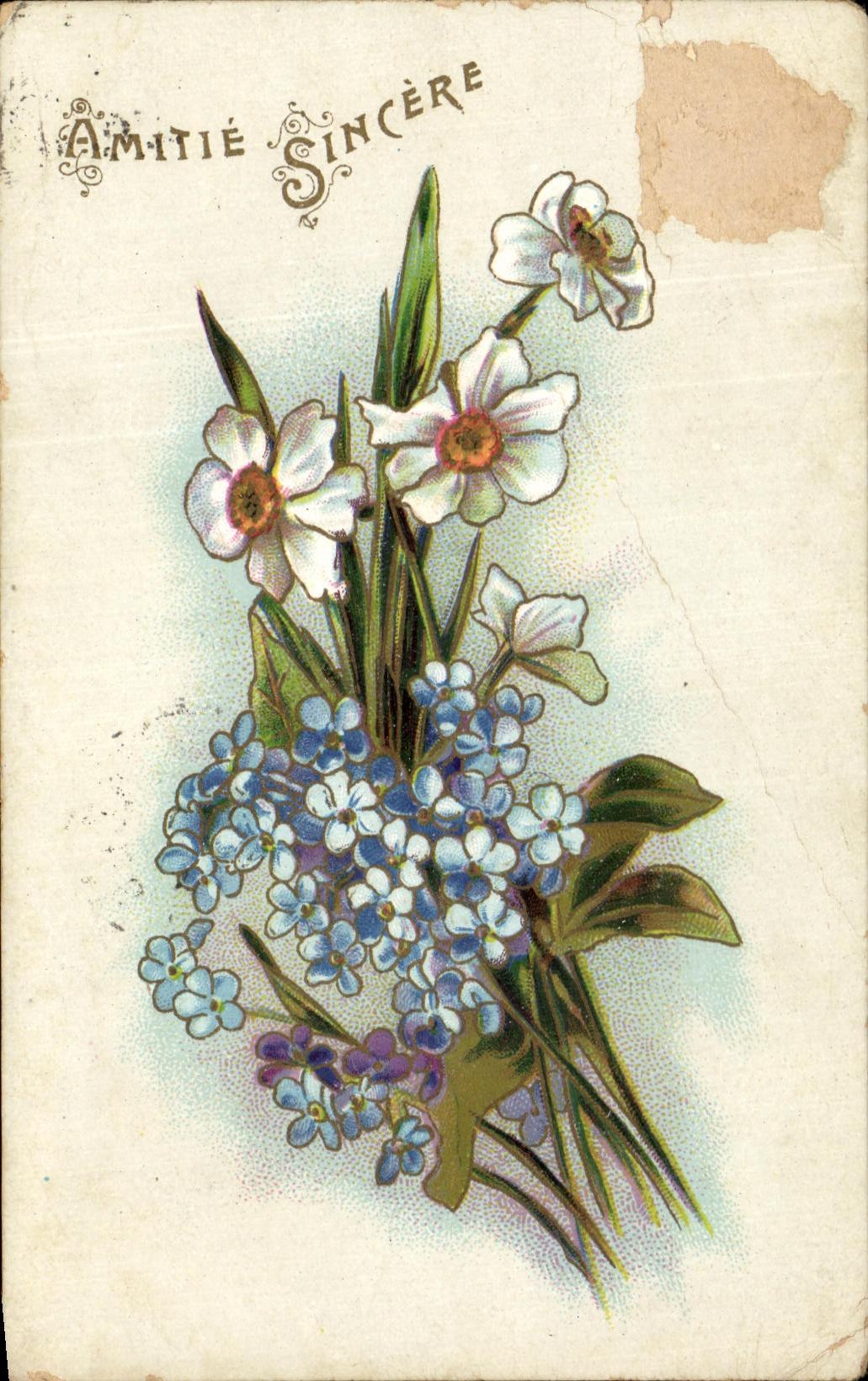 Flores de la fantasia de CPA