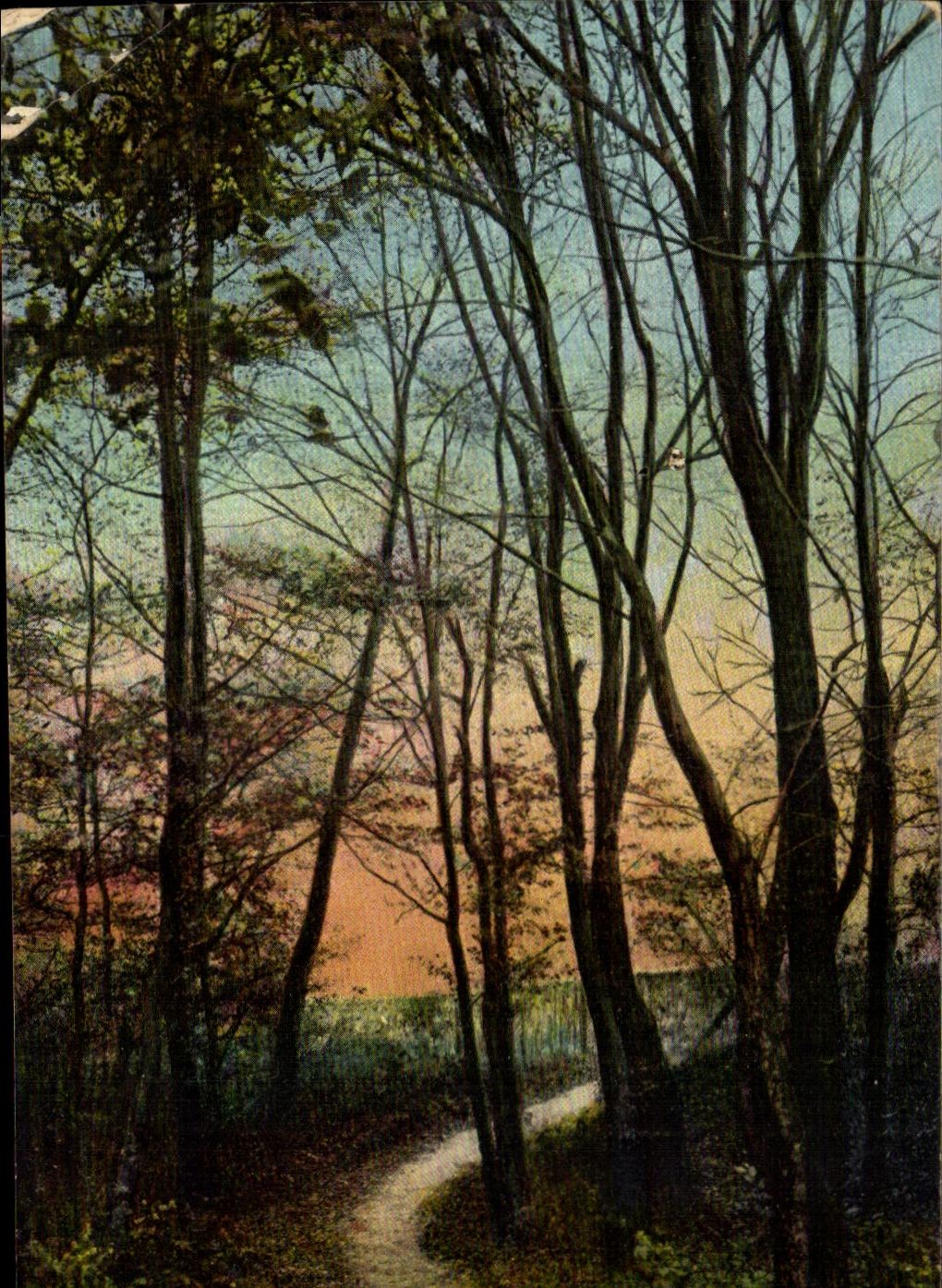 Fantasia de CPA debajo de los arboles de madera