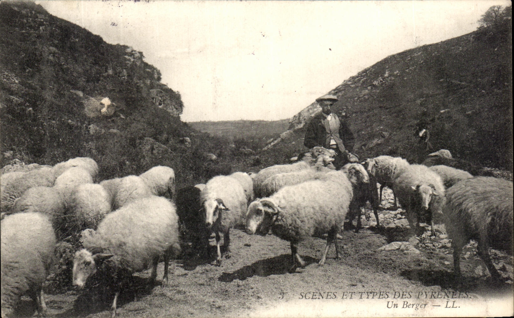 CPA Scenes And Types Of the Pyrenees a Shepherd Sheep