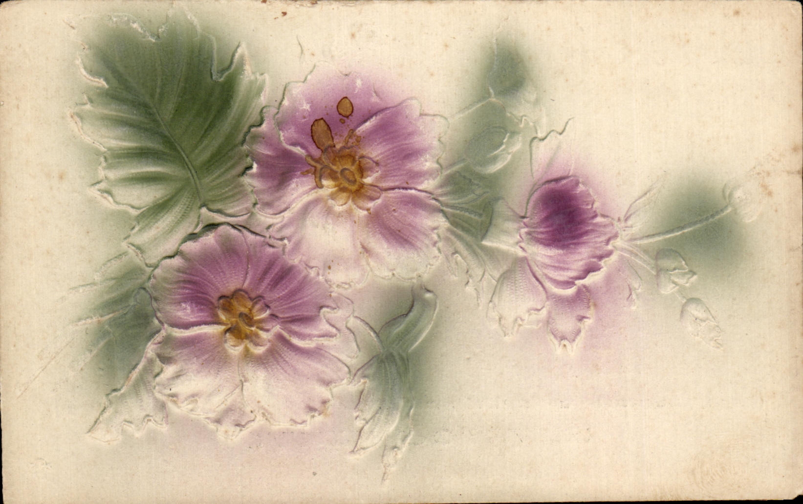 Flores de la fantasia de CPA