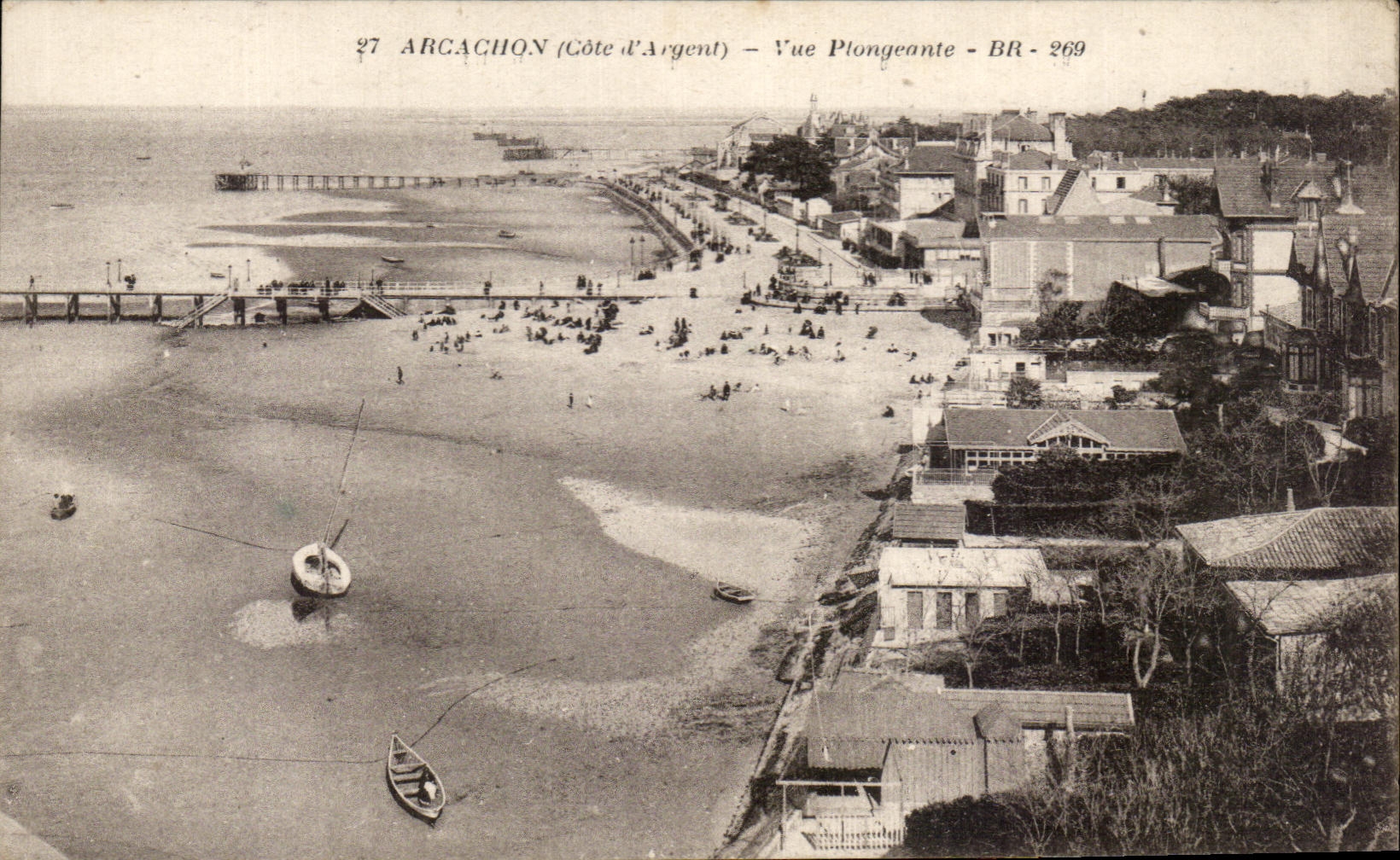CPA Arcachon Vue Plongeante