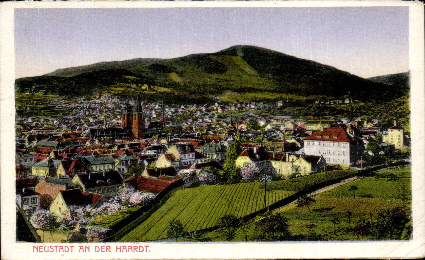 CPA Neustrdt Year Der Haardt