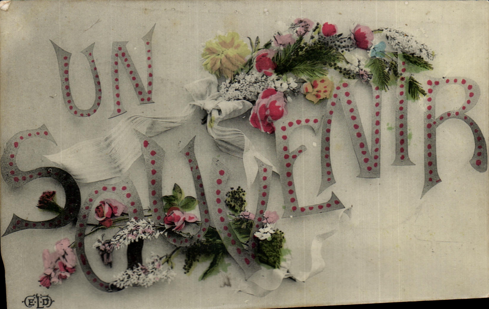 La fantasia de CPA florece el recuerdo