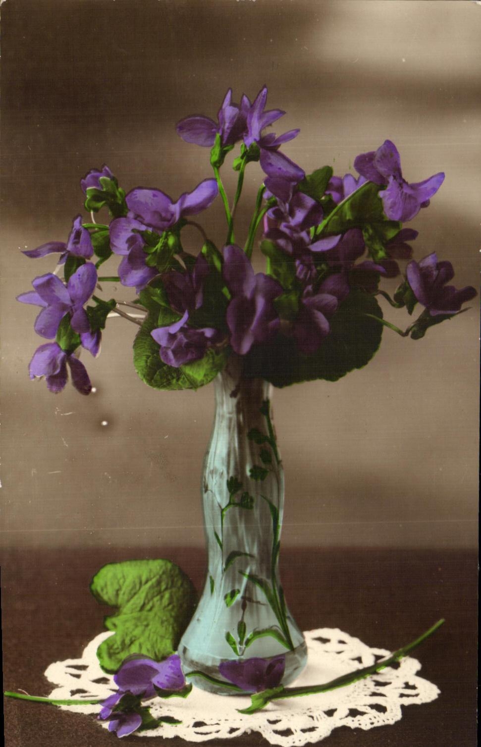 Flores de la fantasia de CPA