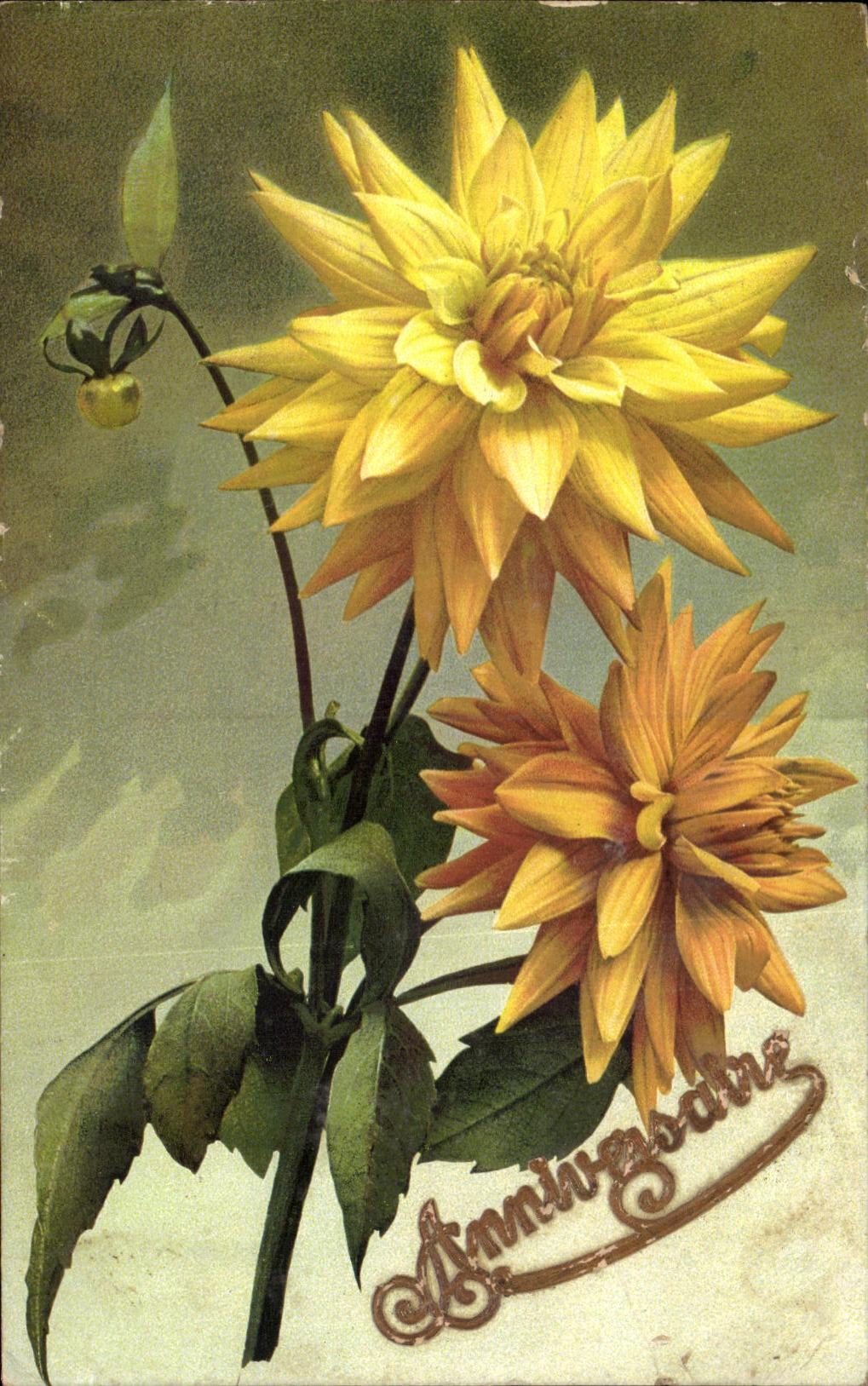 Flores de la fantasia de CPA