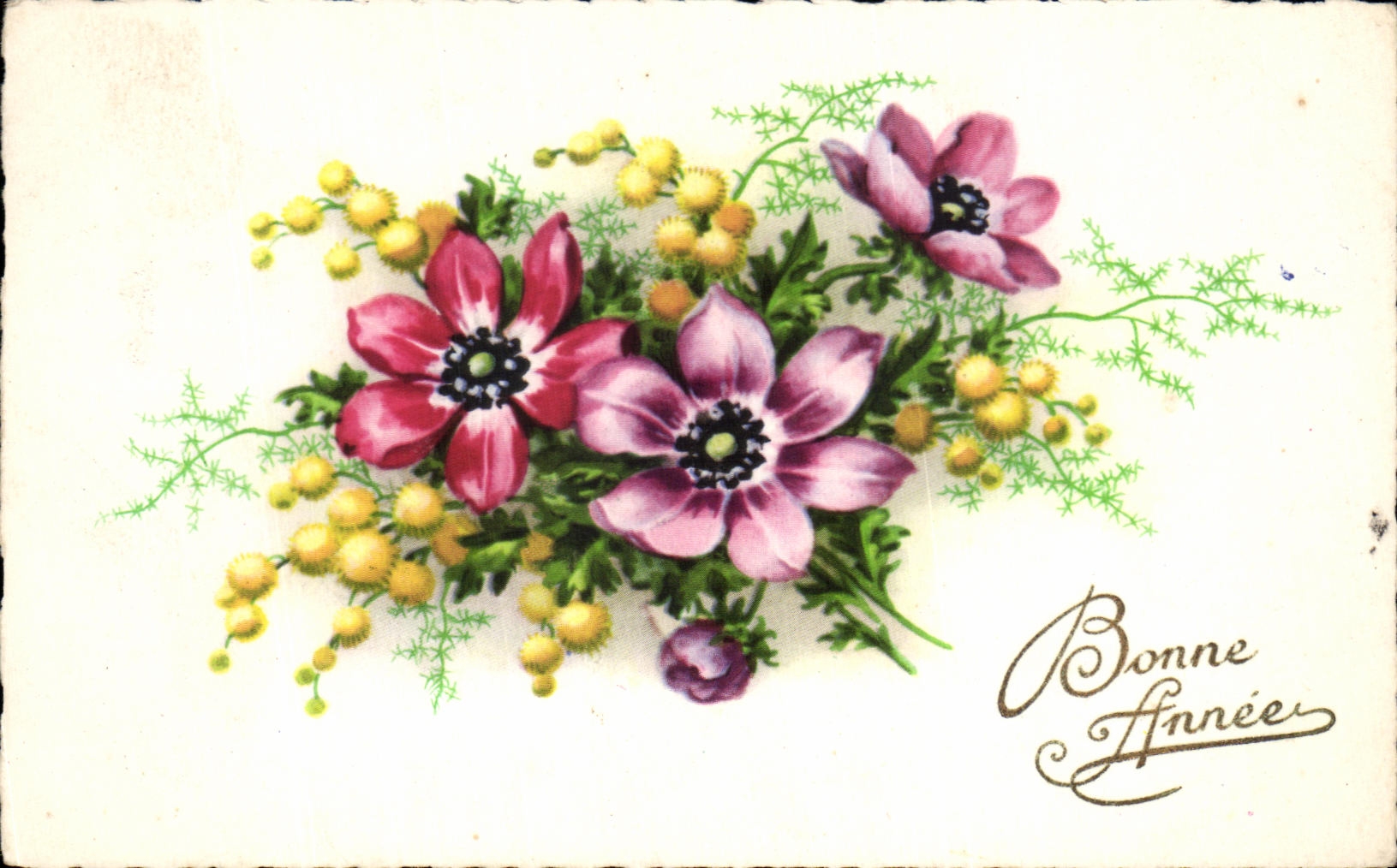 Flores de la fantasia de CPA