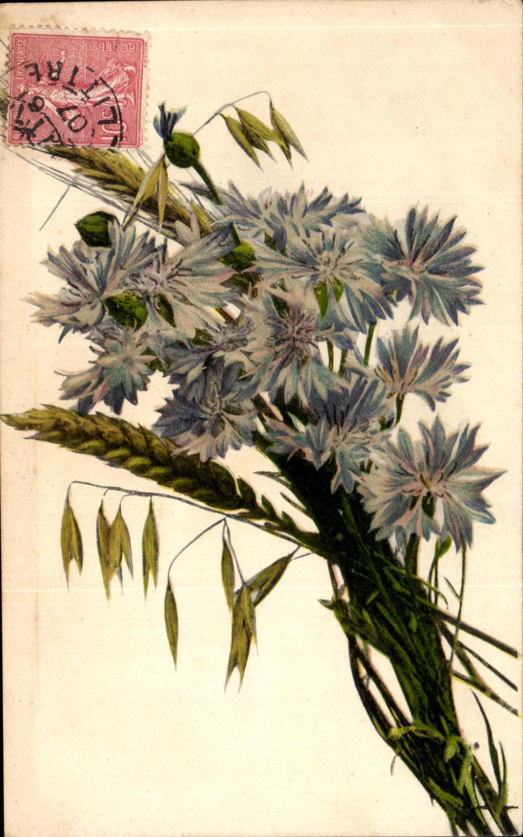 Flores de la fantasia de CPA