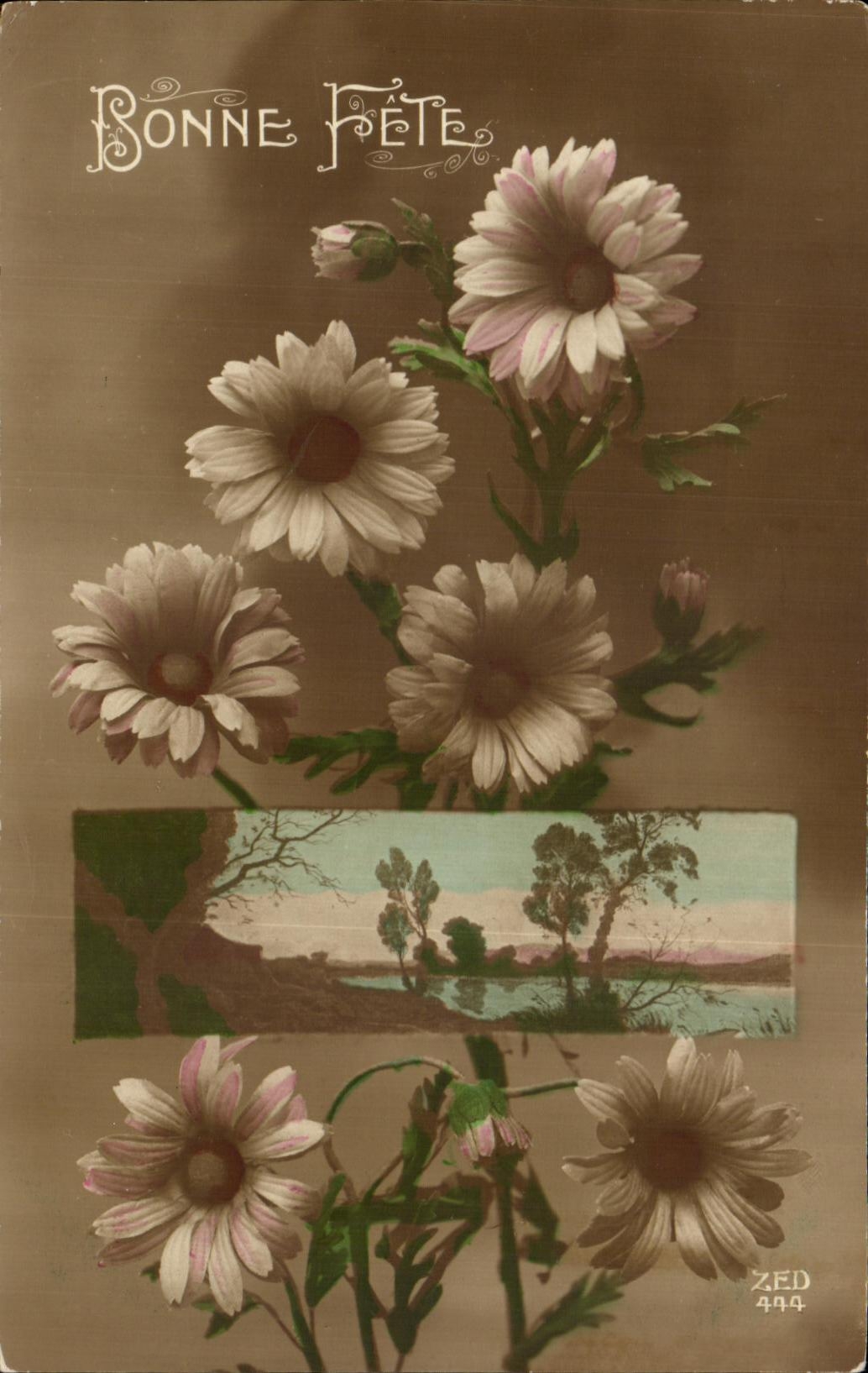 Flores de la fantasia de CPA