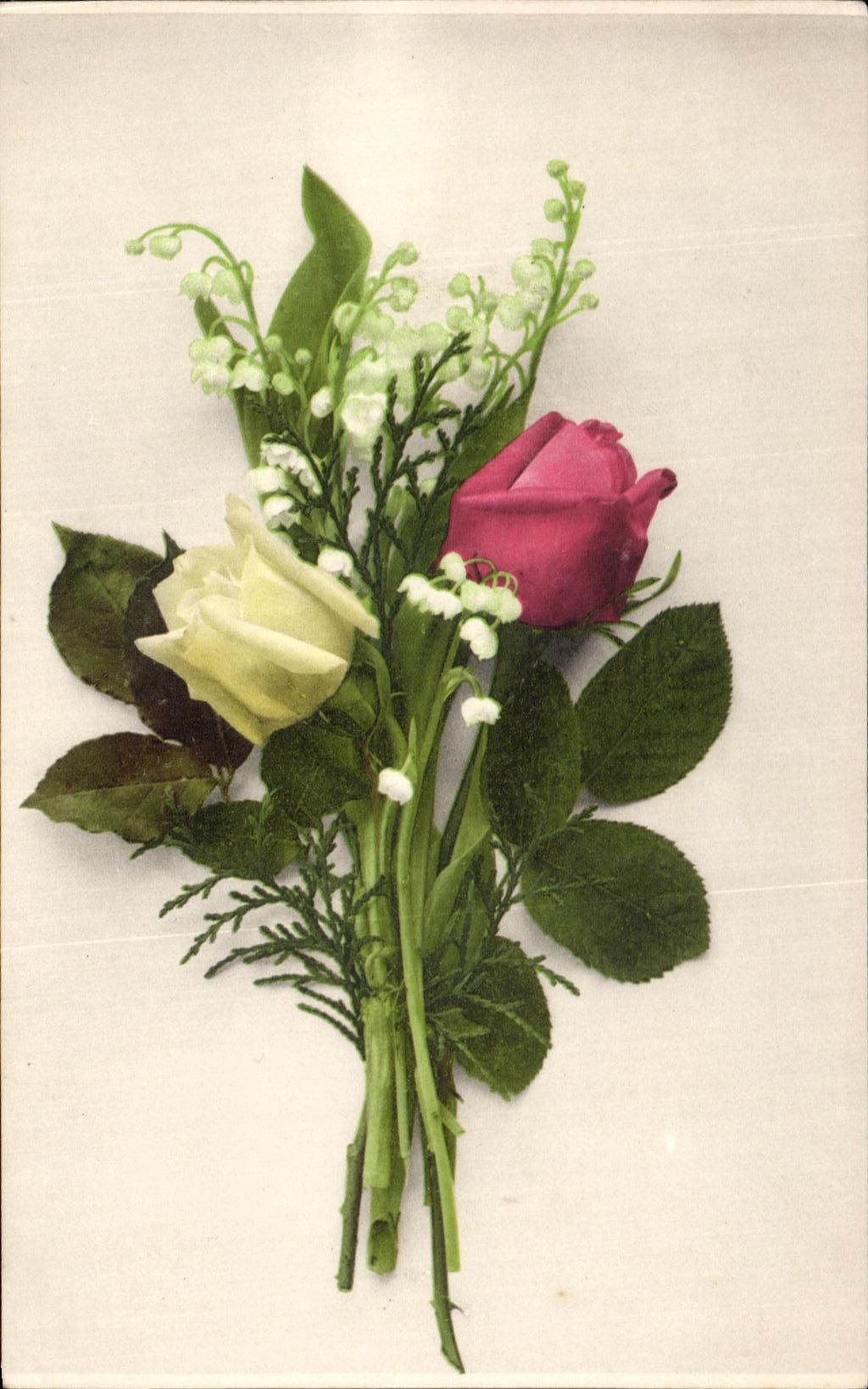 La fantasia de CPA florece el lirio de los valles rosado