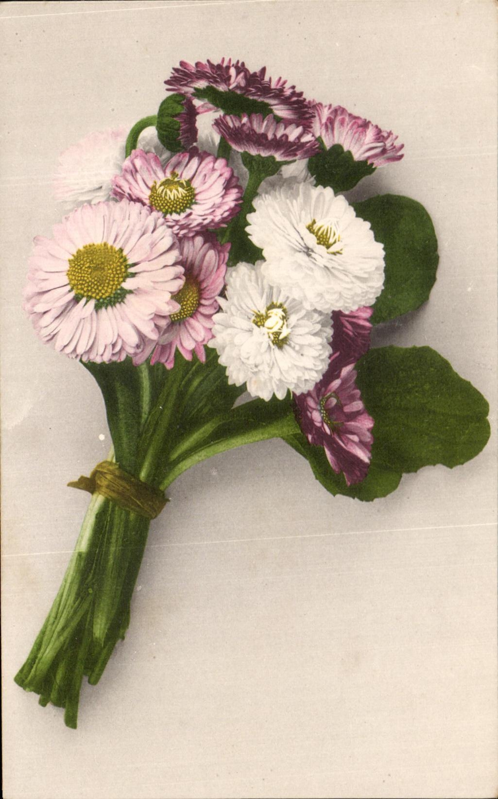 Flores de la fantasia de CPA