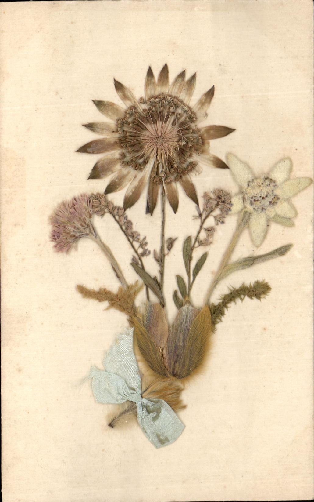 Flores de Sechees de la fantasia de CPA