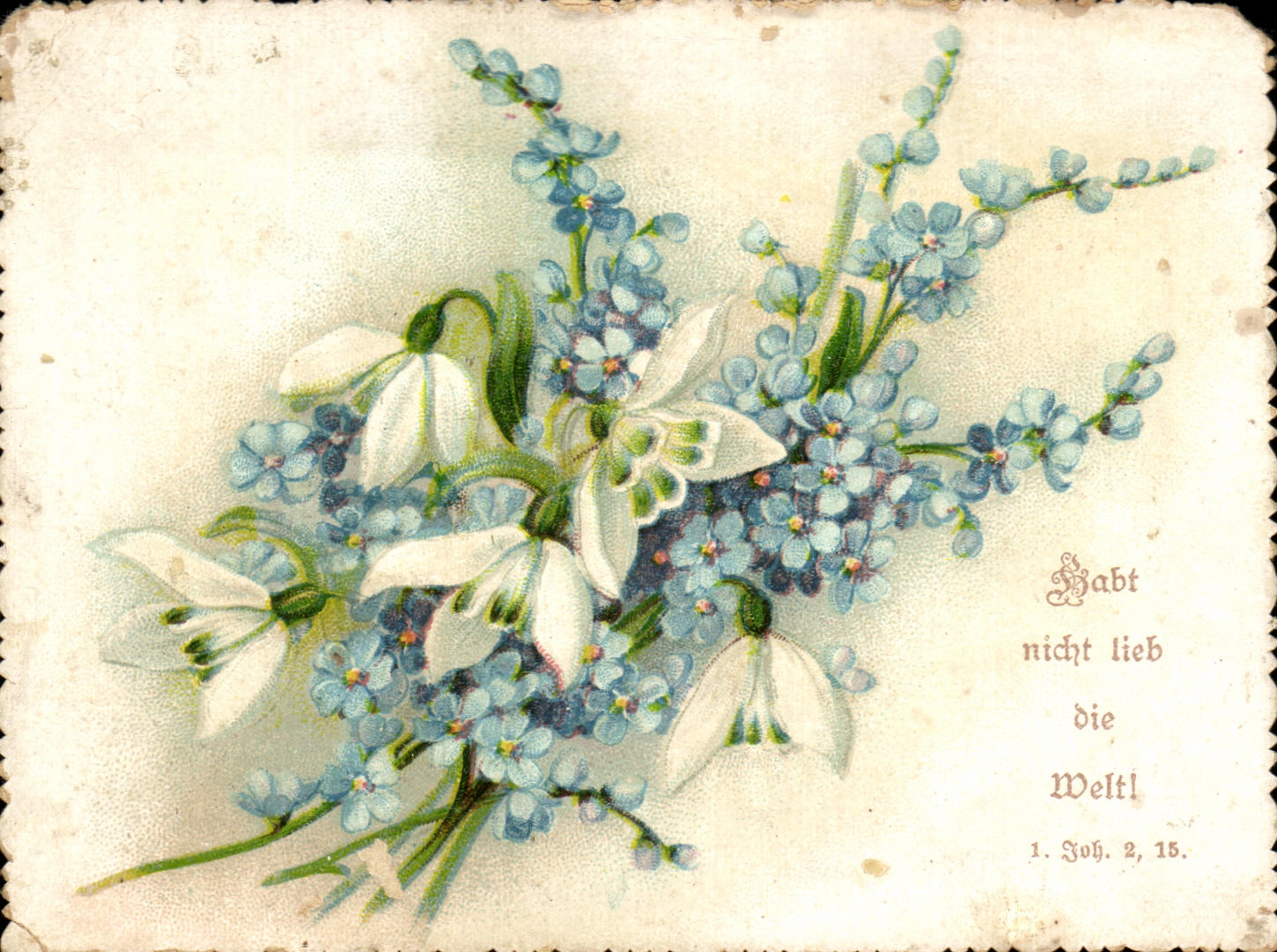 Flores de la fantasia de CPA