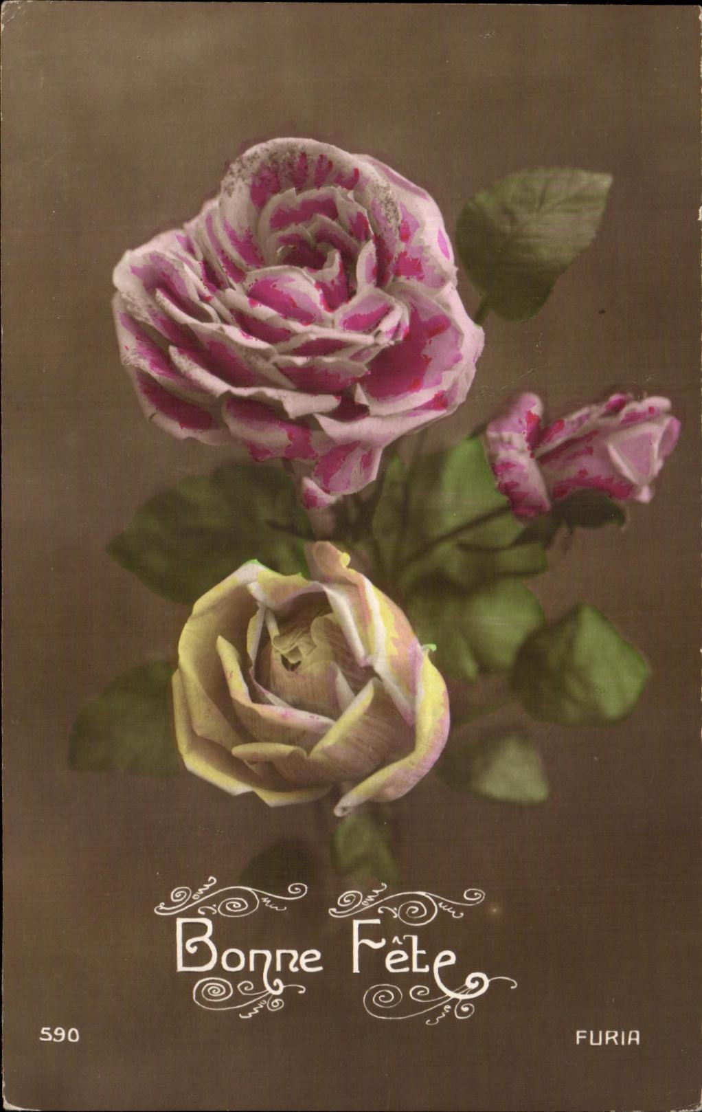 La fantasia de CPA florece rosas