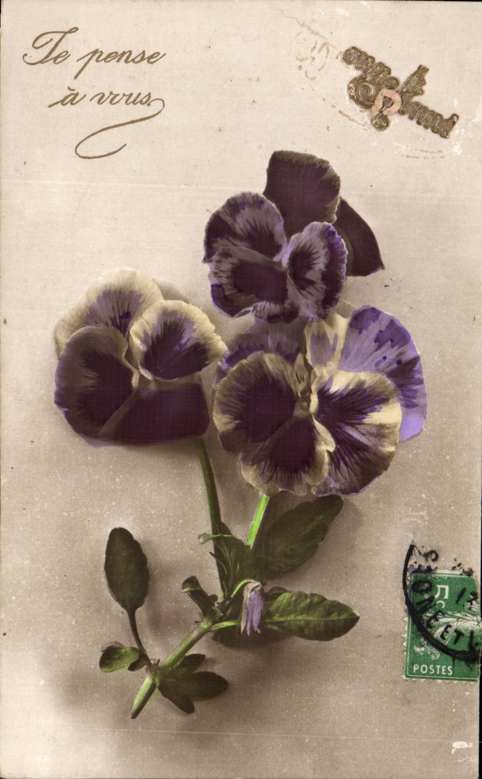 Flores de la fantasia de CPA