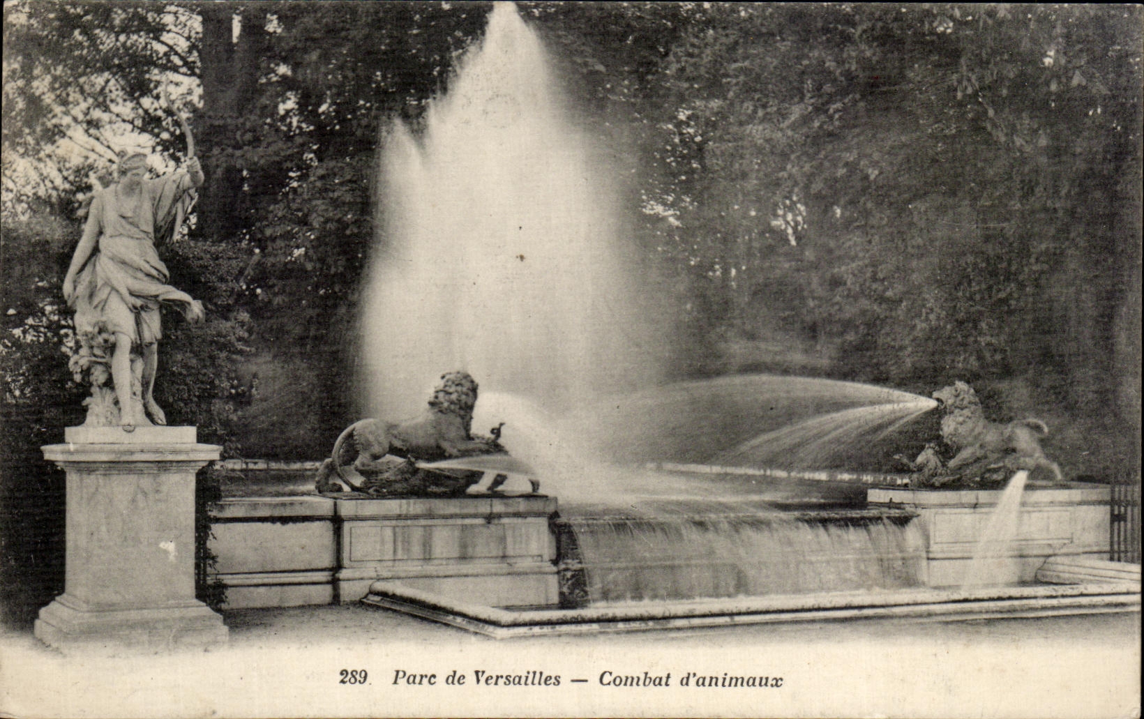 CPA Parc de Versailles Combat d'Animaux Lion